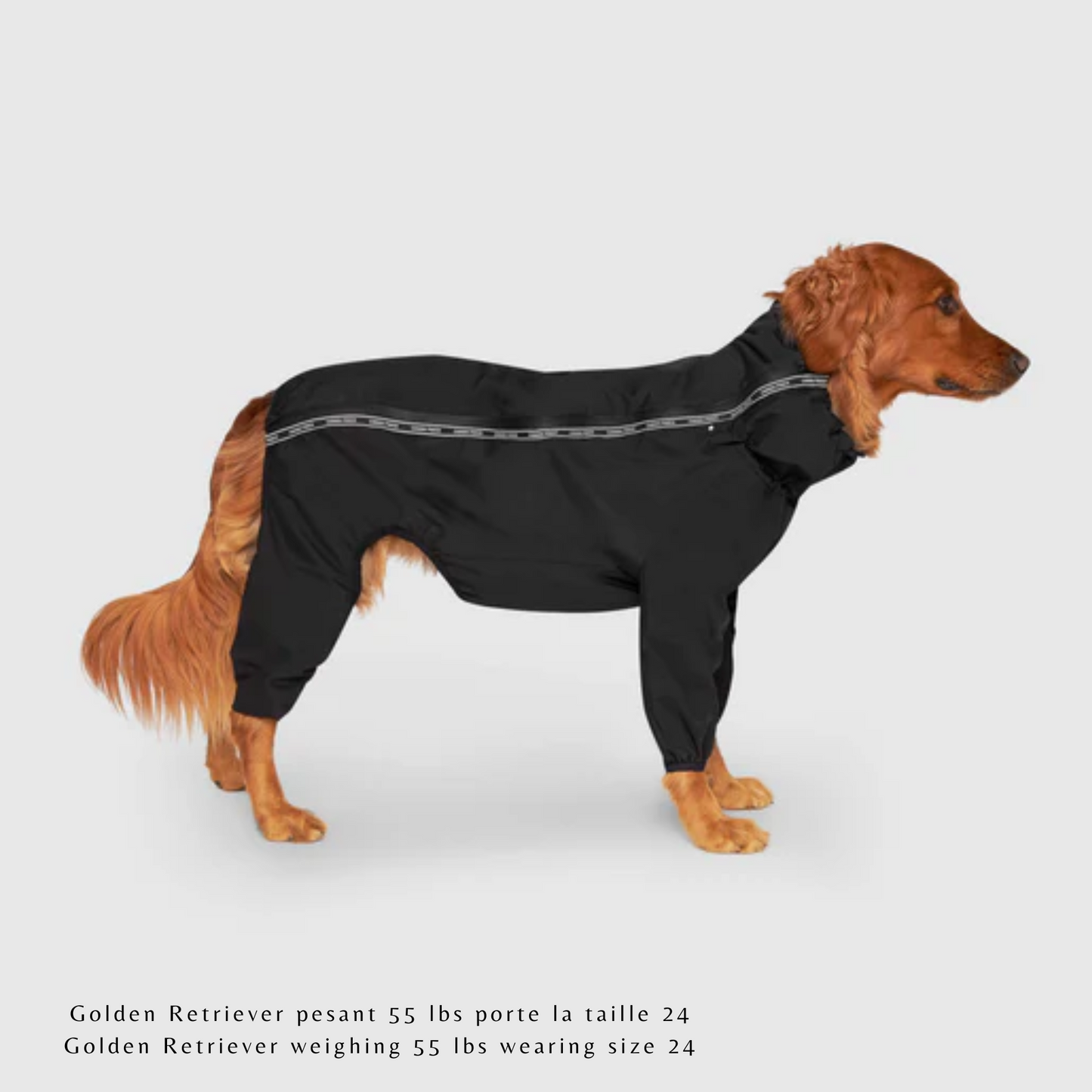 Canada Pooch - Combinaison Slush Suit pour chien (noir, tailles disponibles)