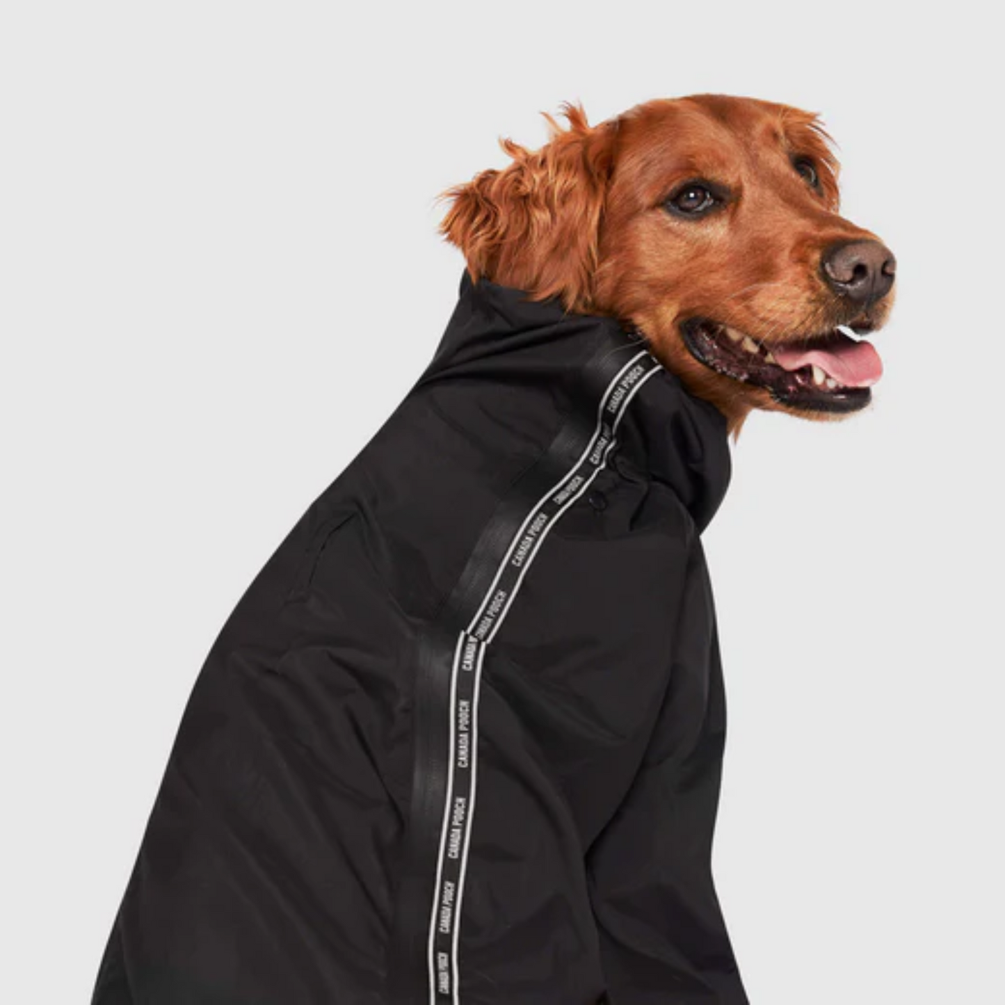 Canada Pooch - Combinaison Slush Suit pour chien (noir, tailles disponibles)