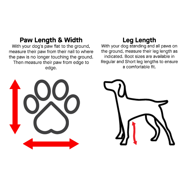 Canada Pooch - Bottes à bretelles pour chien