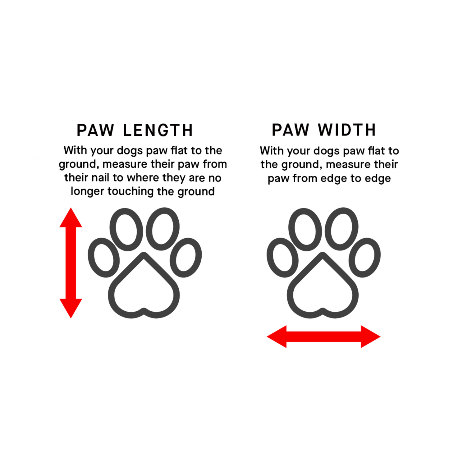 Canada Pooch - Bottes réfléchissantes et souples pour chien (noir)