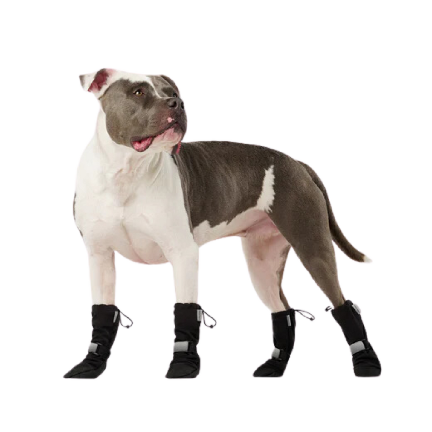 Canada Pooch - Bottes réfléchissantes et souples pour chien (noir)