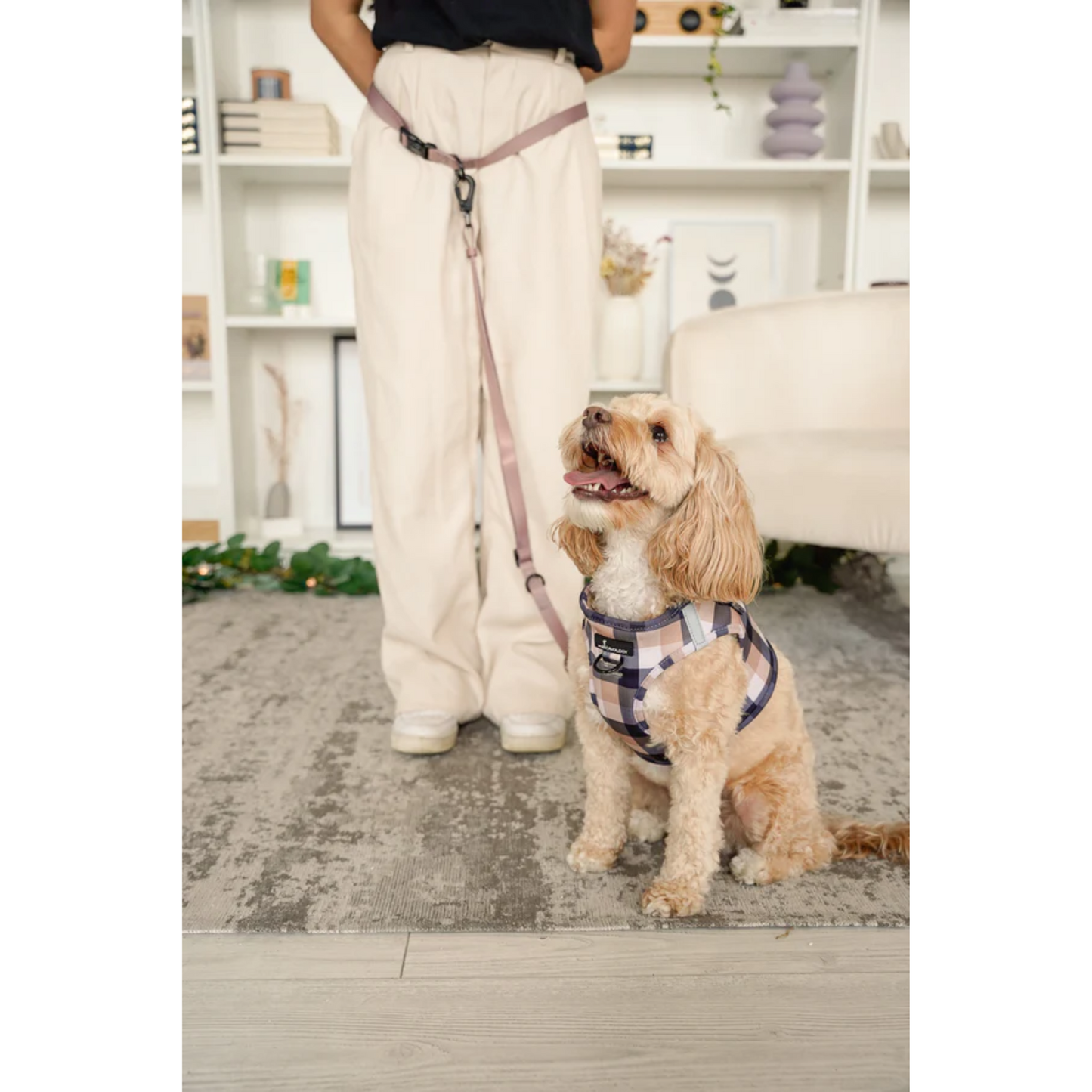 Cavology - Dog Vest Step-in Harness (Beige Plaid Caffe Latte)