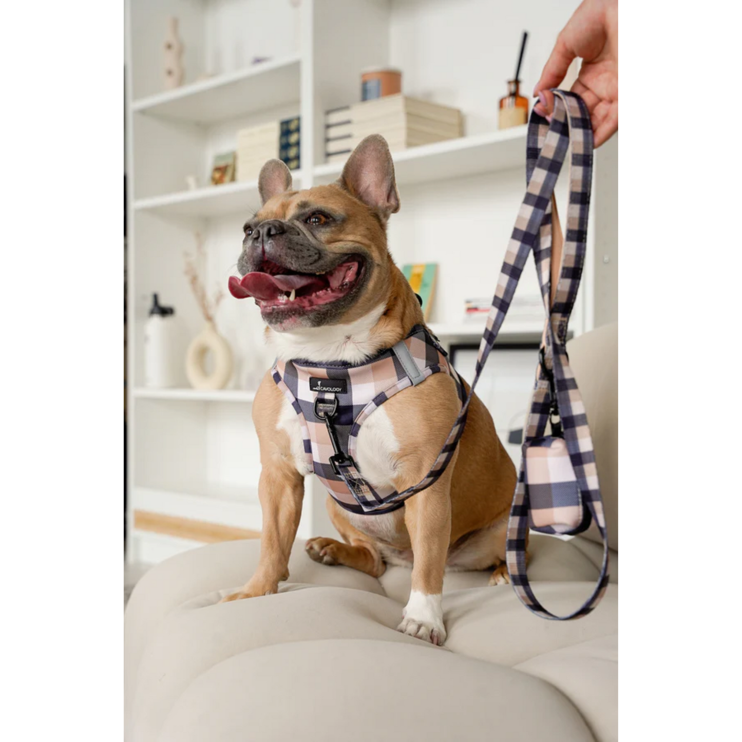 Cavology - Dog Vest Step-in Harness (Beige Plaid Caffe Latte)