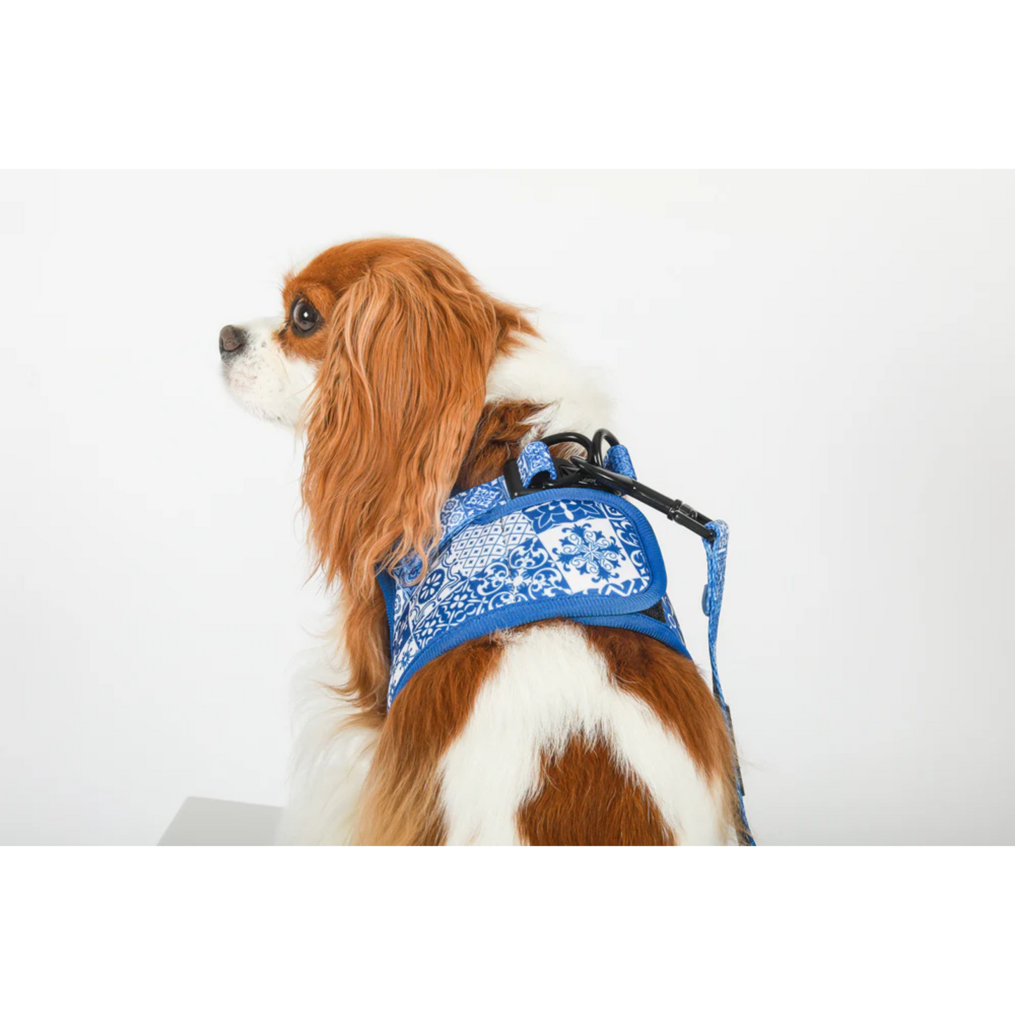 Cavology - Dog Vest Step-in Harness (Blue Tiles Lisbon)