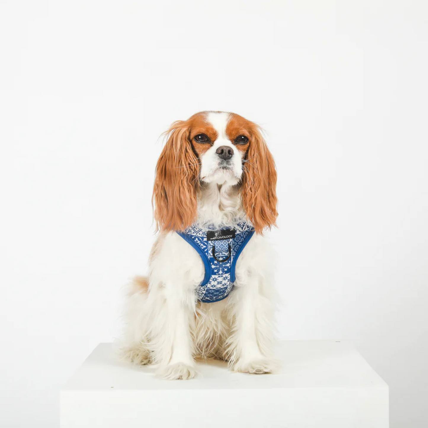 Cavology - Dog Vest Step-in Harness (Blue Tiles Lisbon)