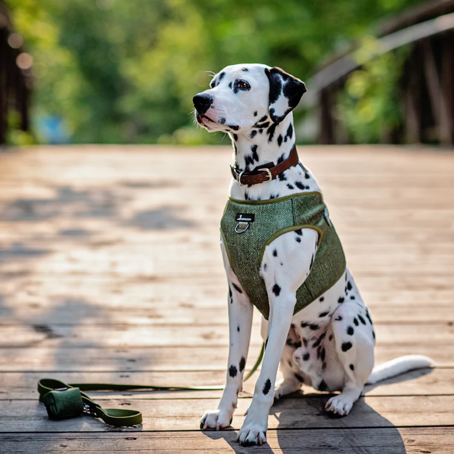 Cavology - Dog Vest Step-in Harness (Matcha)
