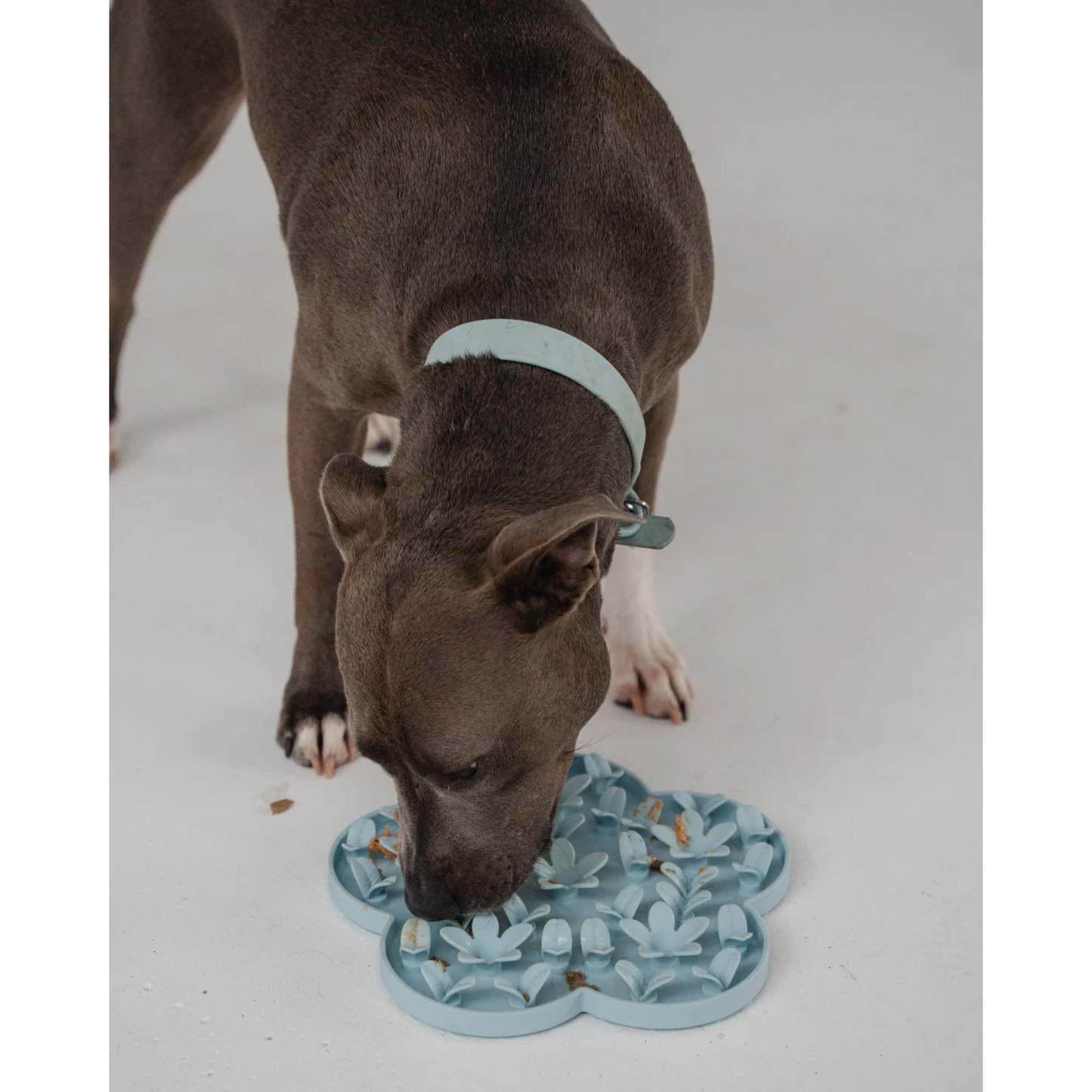 Dexypaws - Tapis de fouille d'enrichissement pour chien (fleur bleue)