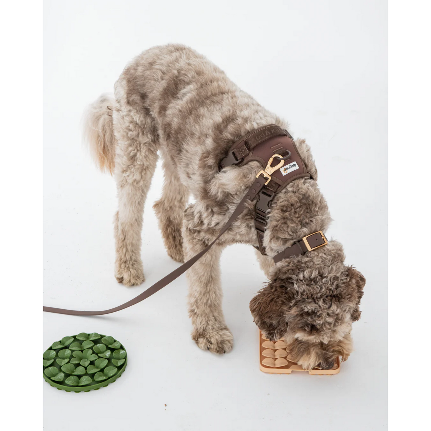 Dexypaws - Harnais anti-traction pour chien (Espresso)