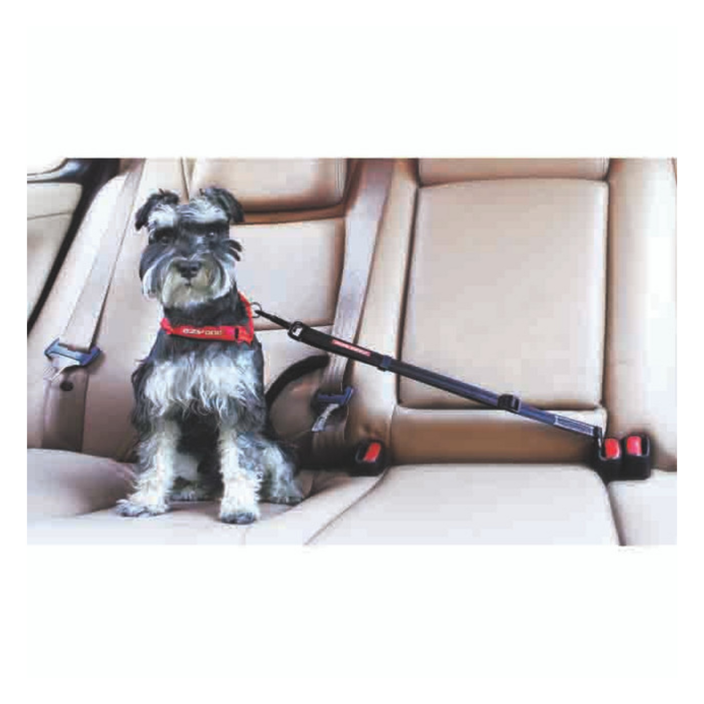 EzyDog - Attache ajustable pour chien pour la voiture