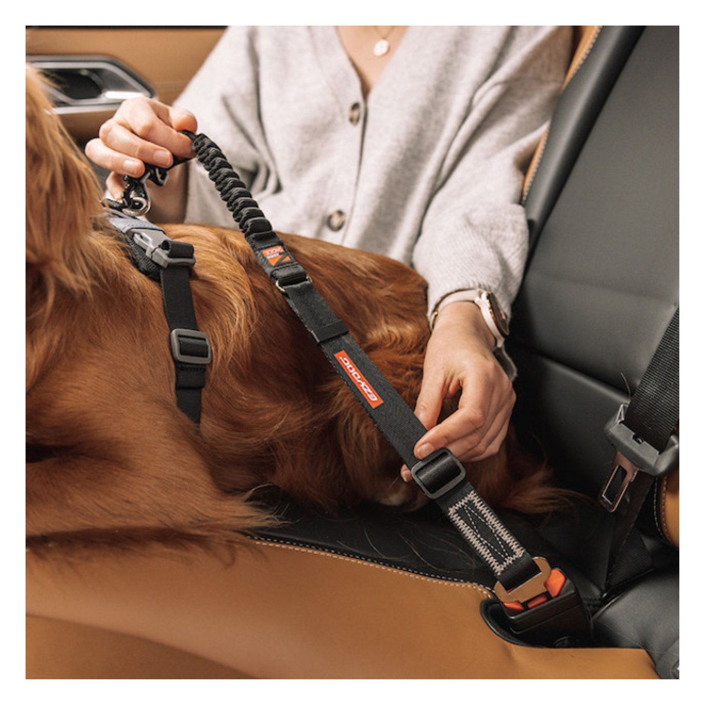 EzyDog - Attache Zero Shock pour ceinture de sécurité