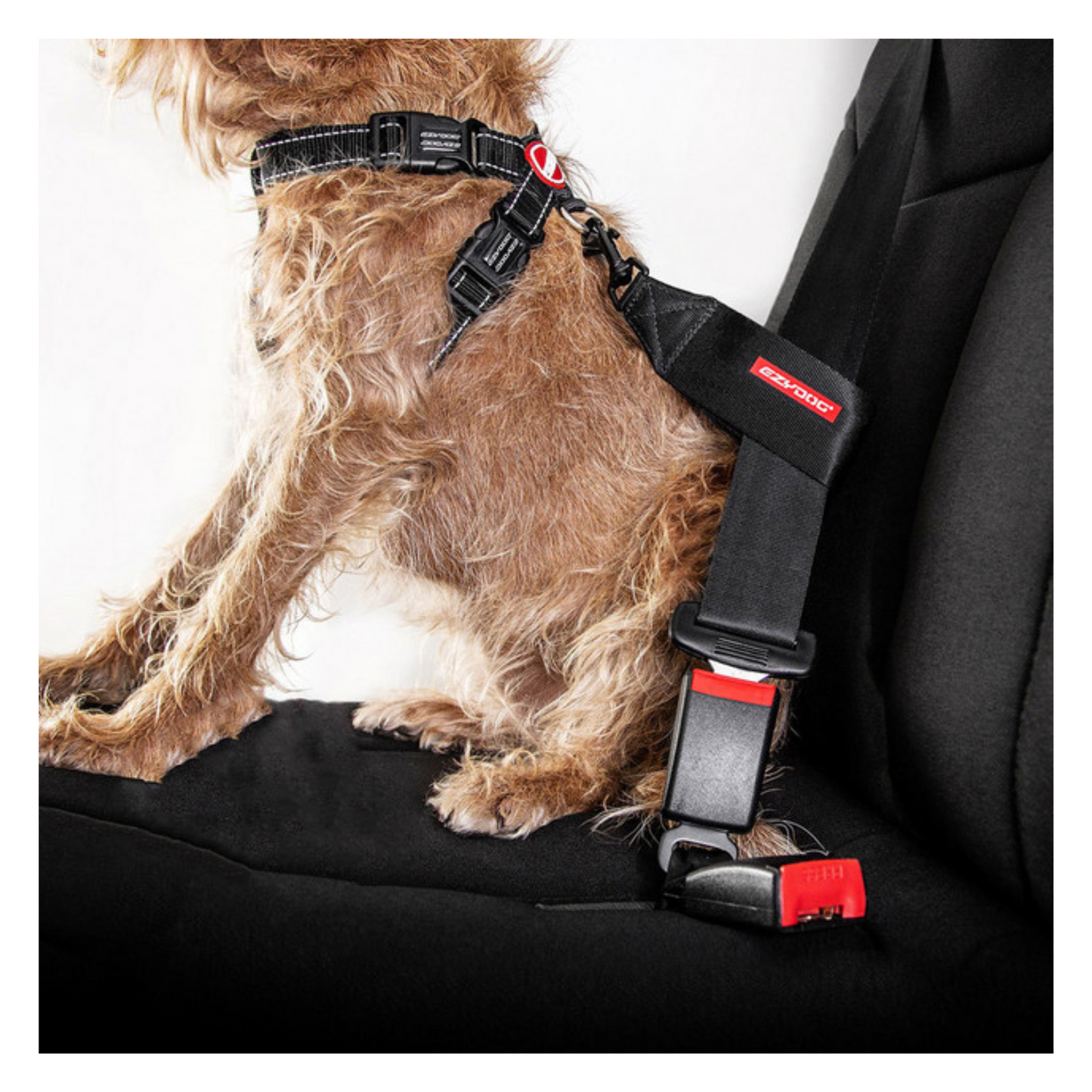 EzyDog - Attache pour ceinture de sécurité universel pour chien