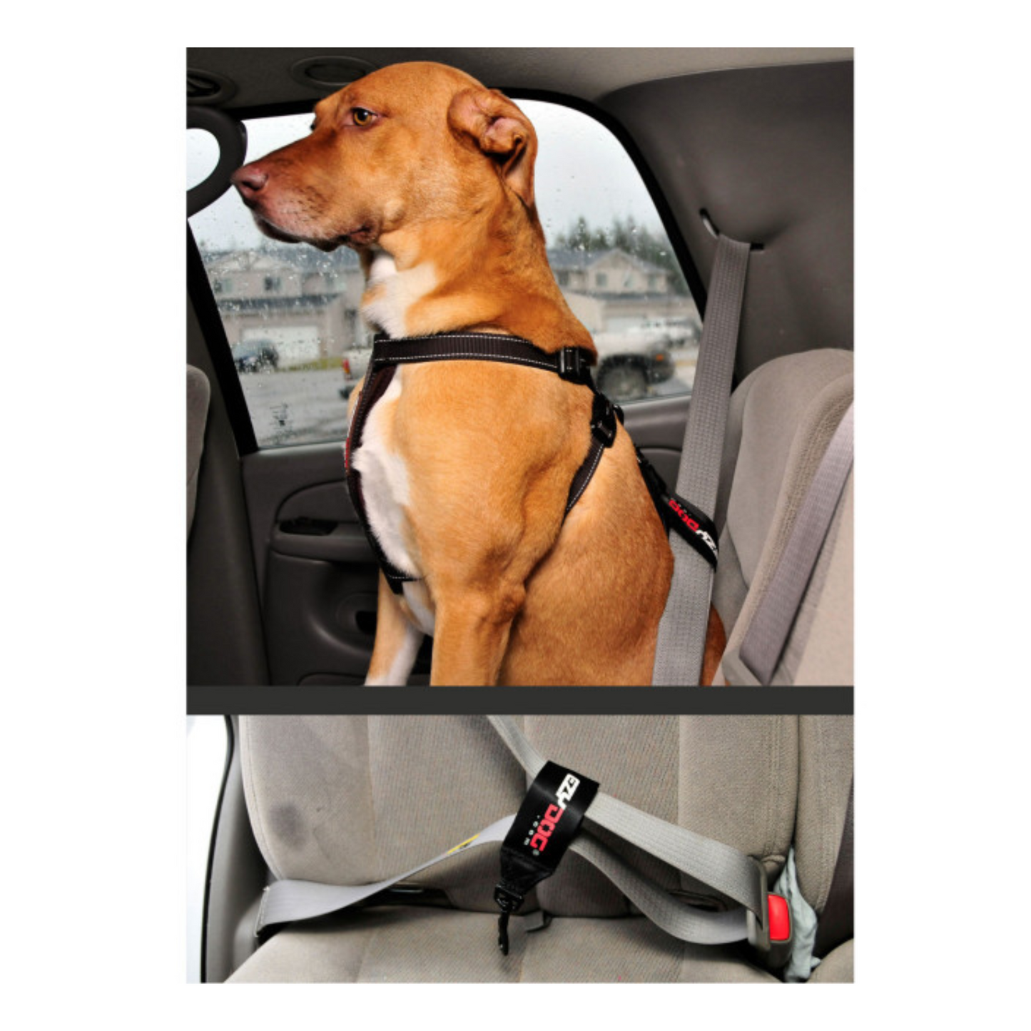 EzyDog - Attache pour ceinture de sécurité universel pour chien