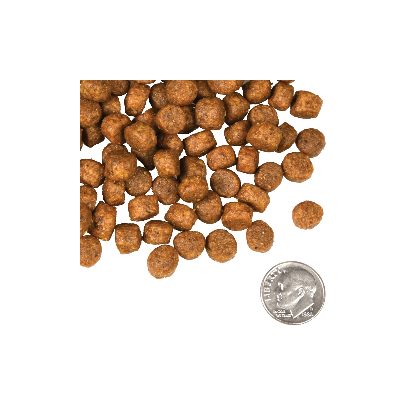 Fromm - Croquettes pour chien bœuf frittata (sans grains)