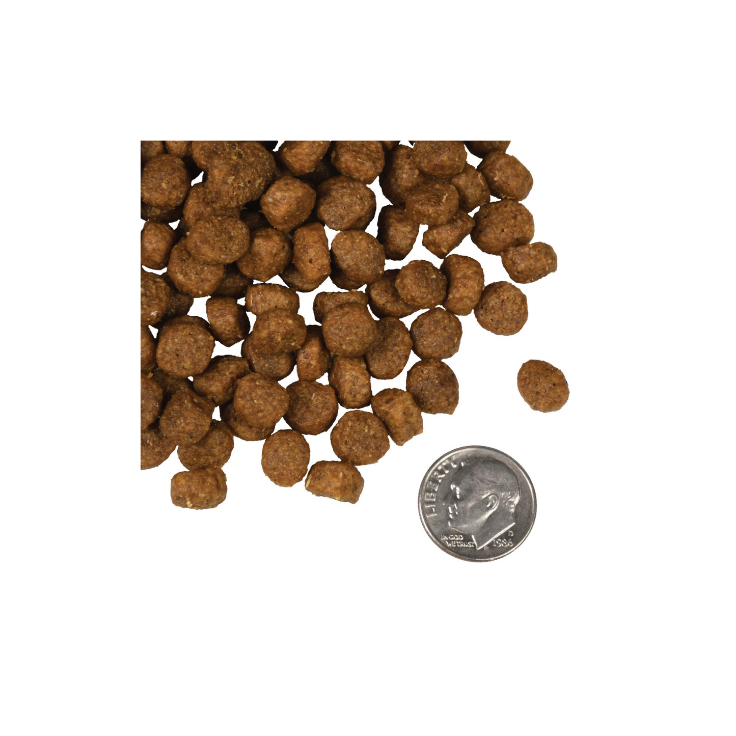 Fromm - Croquettes pour chien au saumon (avec grains)