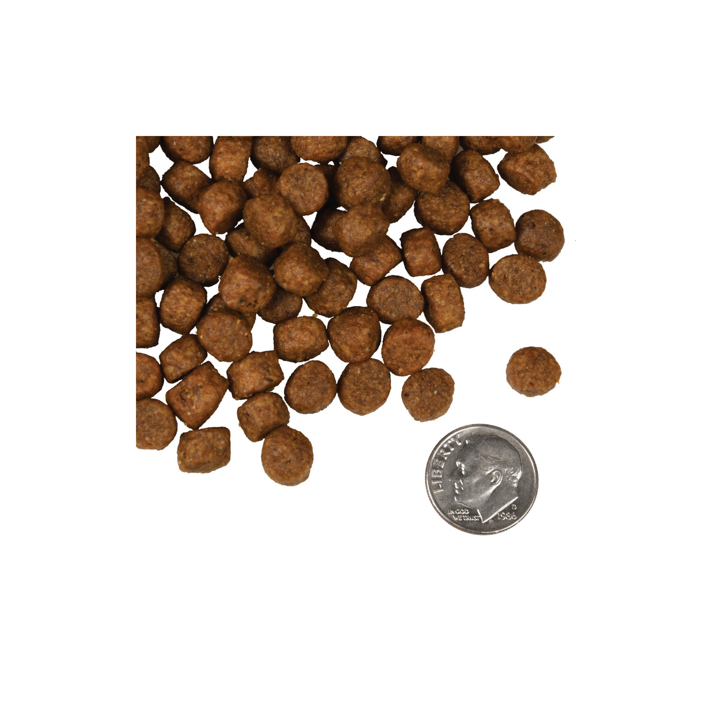 Fromm - Croquettes pour chien au saumon Tunalini (sans grains)