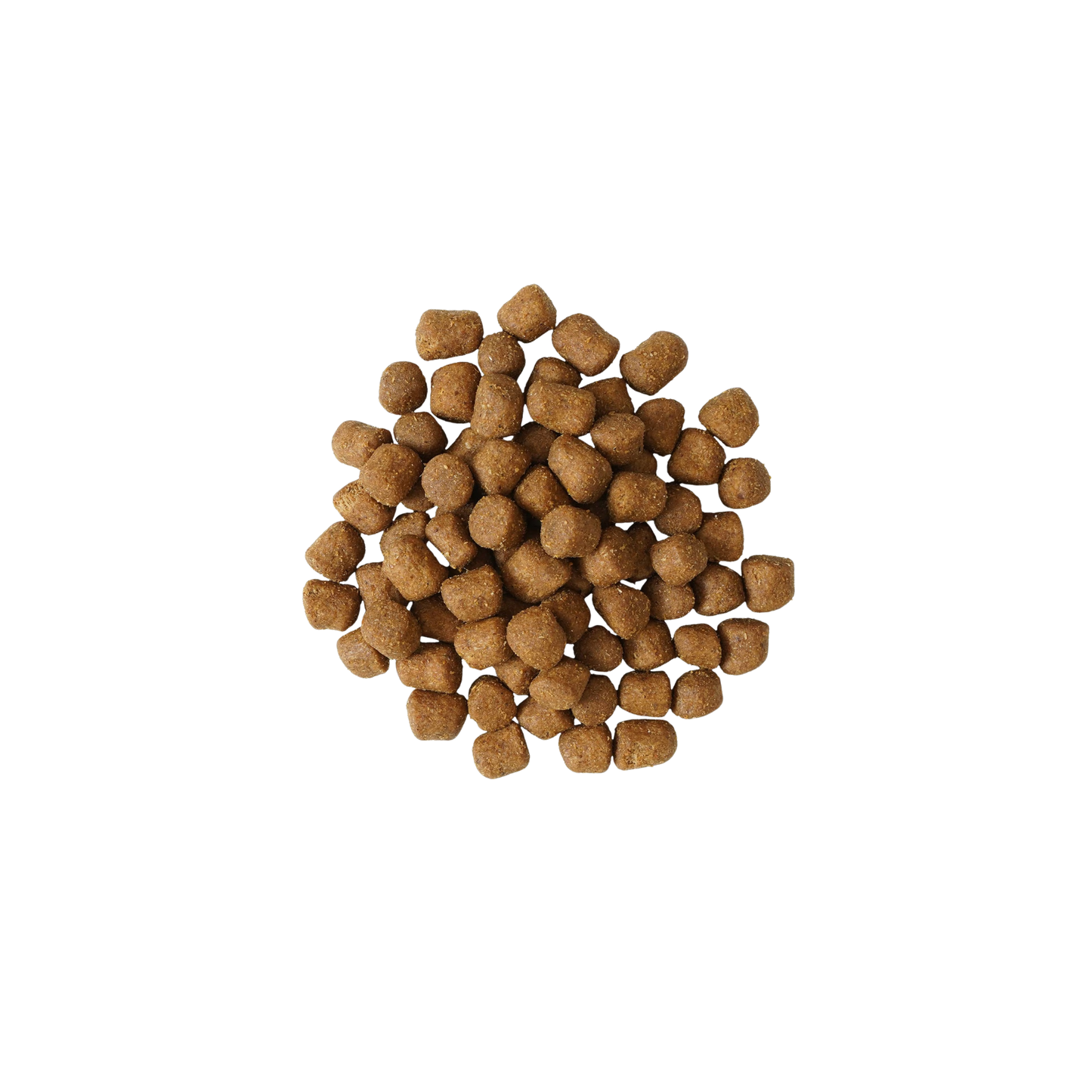 Go! - Croquettes pour chat pour la santé dentaire et immunitaire (poulet et saumon, avec grains)