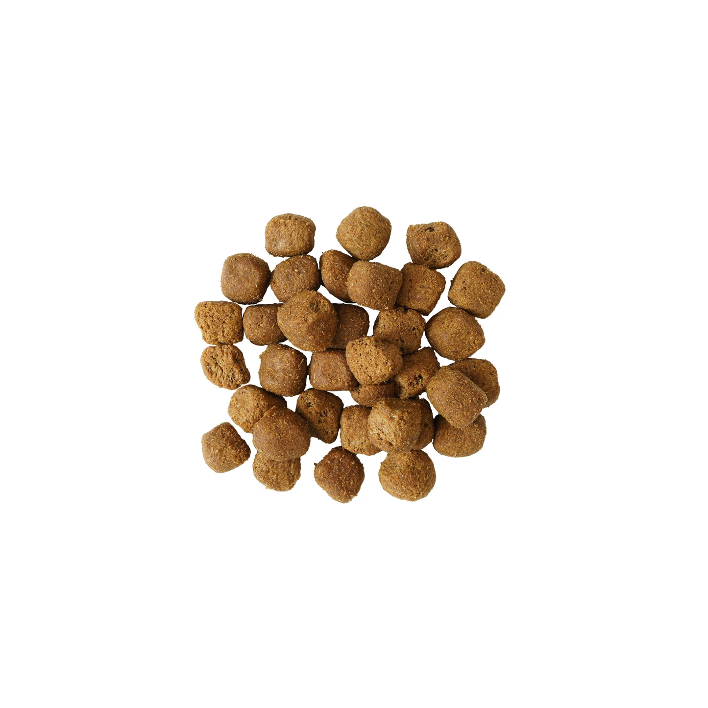 Go! - Croquettes pour chien pour la santé dentaire et immunitaire (poulet et saumon, avec grains)