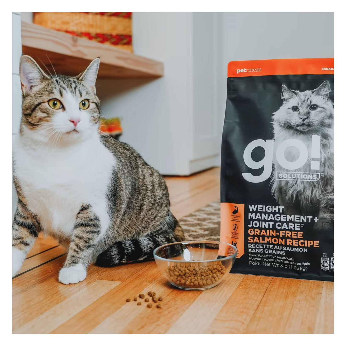 Go! - Gestion du poids et soin des articulations pour chat (au saumon, sans grains)