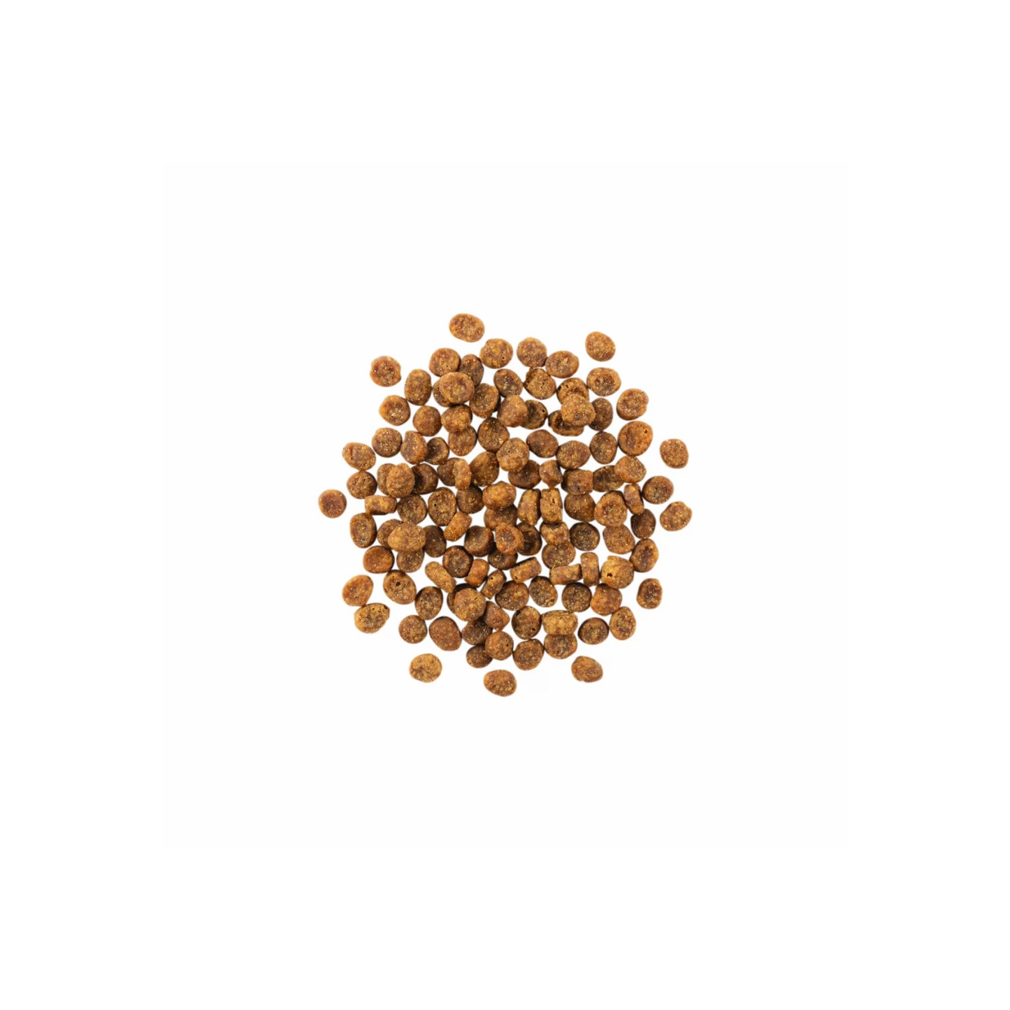 Go! - Sensitivities nourriture sèche pour chat (saumon, sans grains)