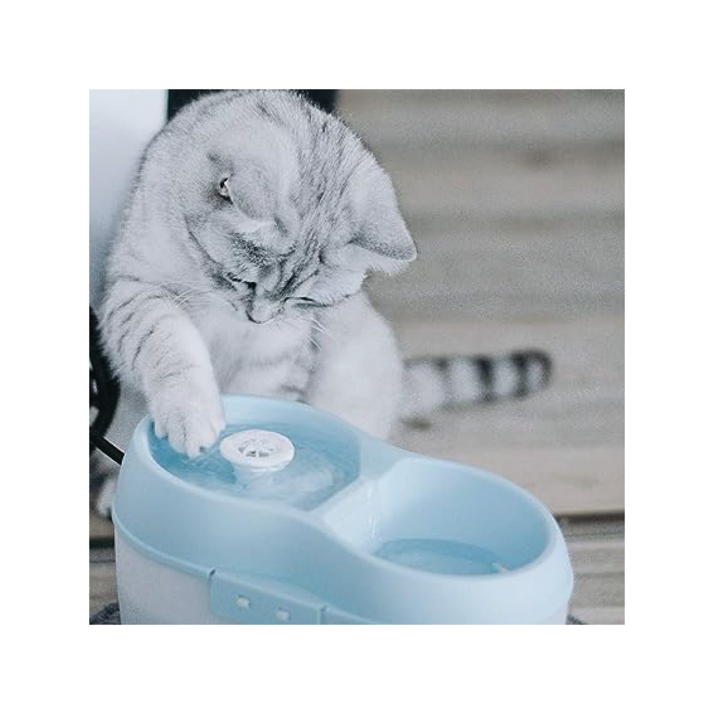 H2O - Abreuvoir pour chat