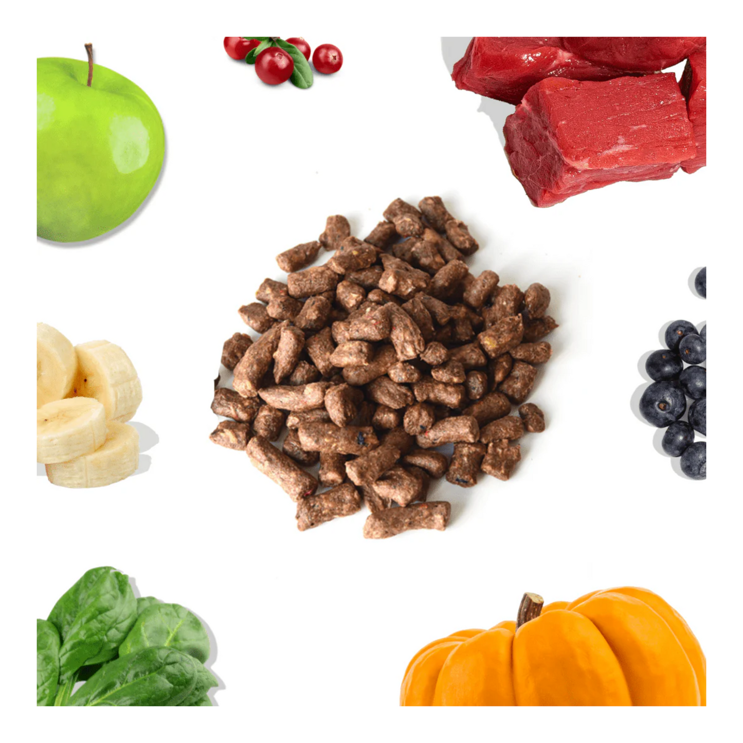Healthybud - Freeze-Dried Dog Food (Bites, Beef)