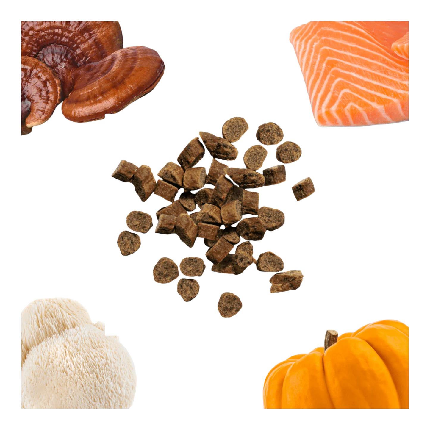 Healthybud - Mini Training Dog Treats (Salmon)