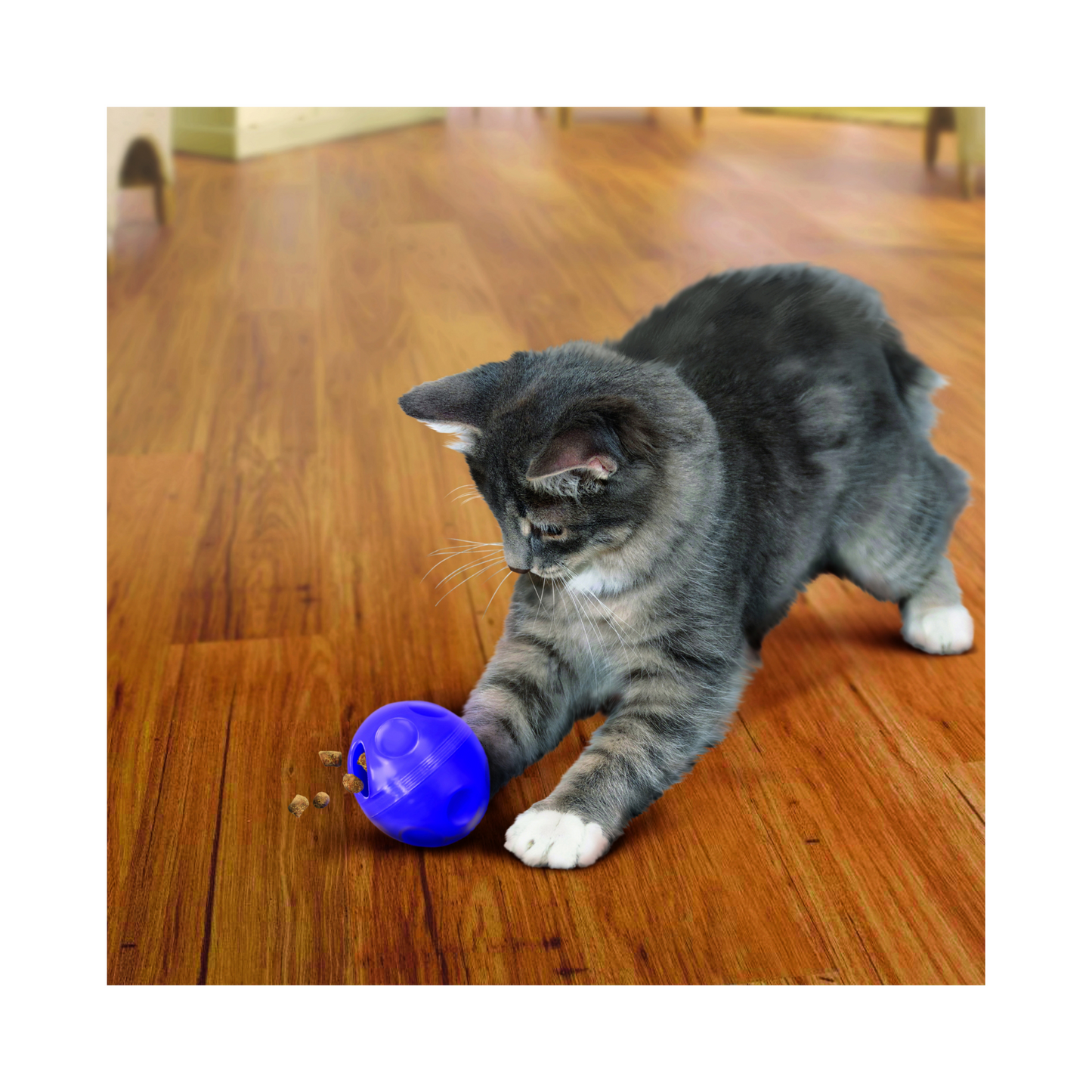 Kong - Balle distributrice de friandises pour chat