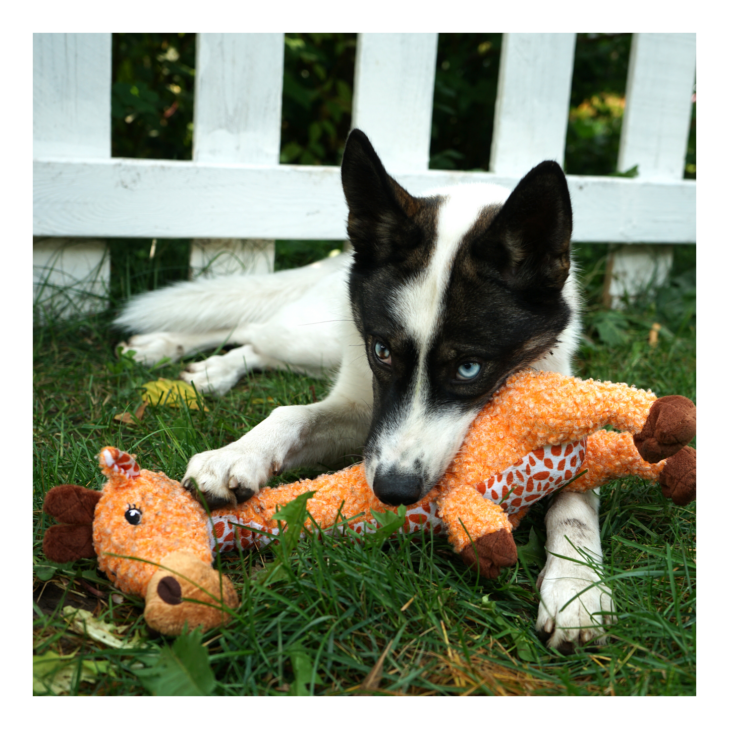 Kong - Peluche pour chien girafe Shakers Luvs