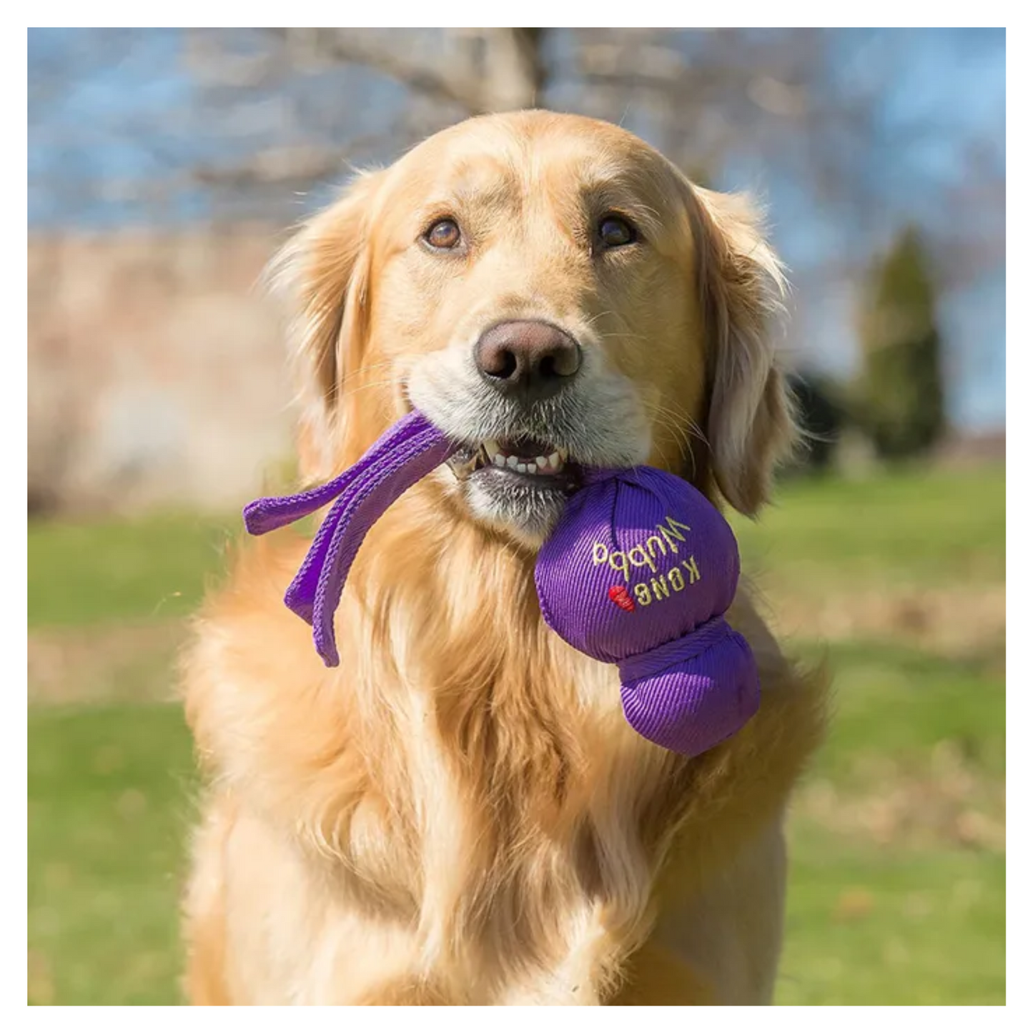 Kong - Jouet à tirer et à lancer Wubba pour chien (grand)