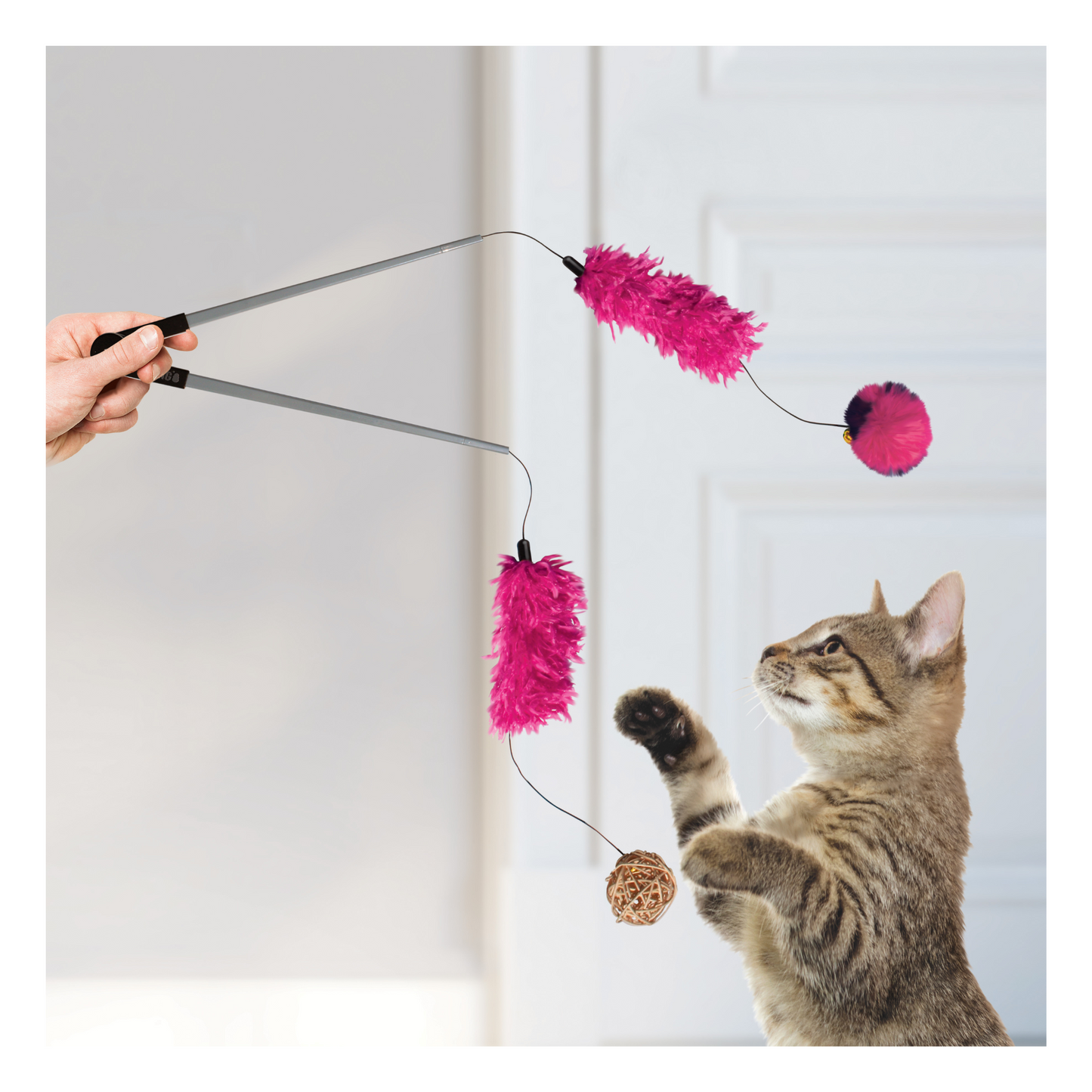 Kong - Agace chat Teaser Tweezerz