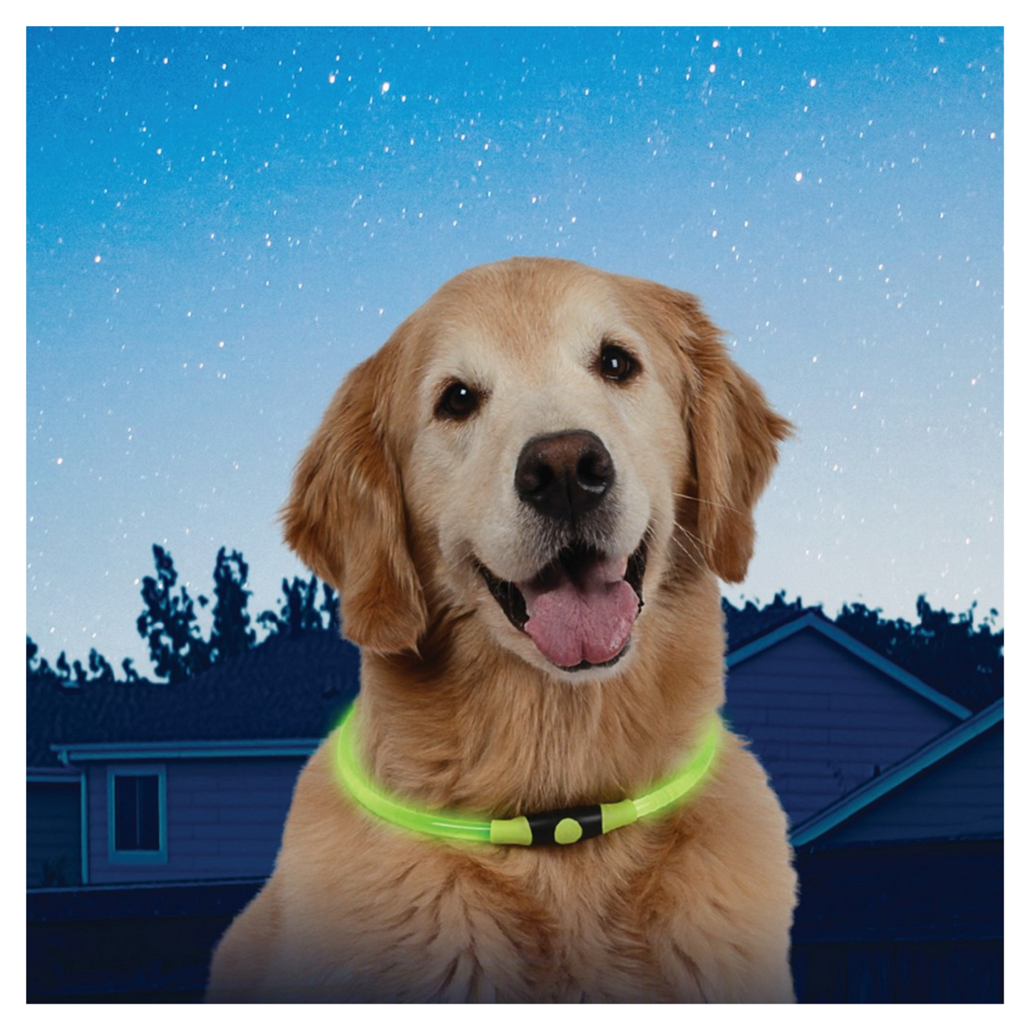 Nite Ize - Collier de sécurité LED pour chien (couleurs disponibles)