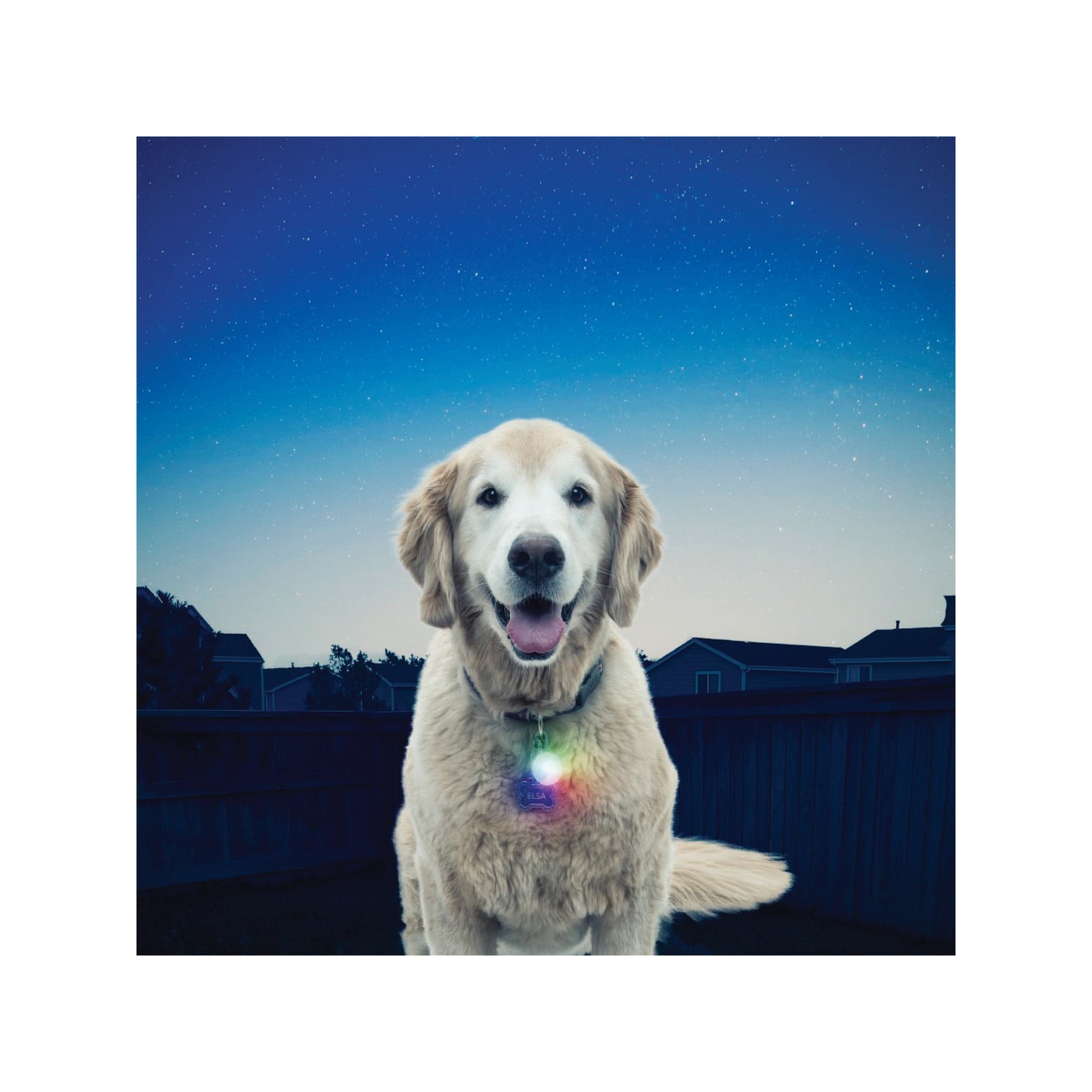 Nite Ize - Lumière à DEL pour collier pour chien