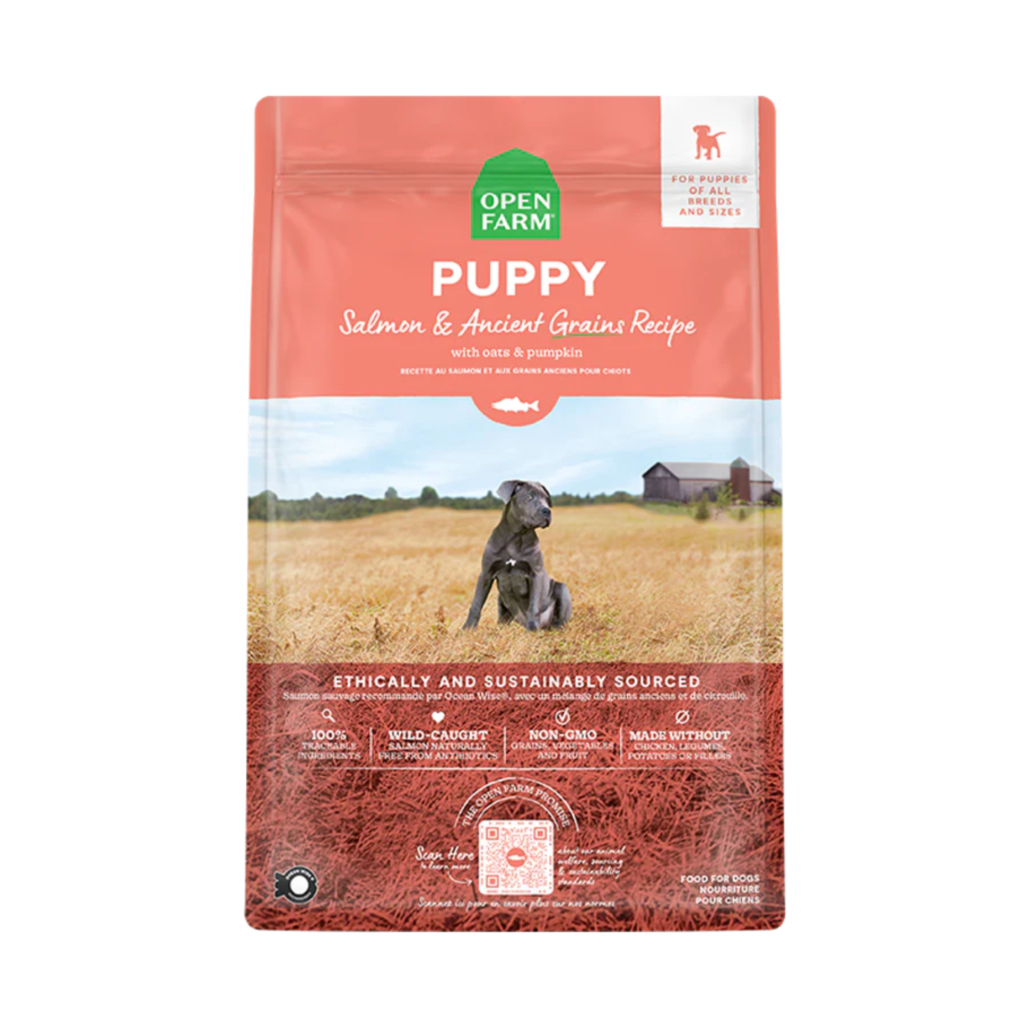 Open Farm - Croquettes pour chiot (saumon, avec grains)