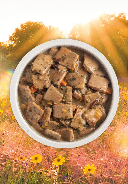 Acana - Recette de volaille au bouillon d'os