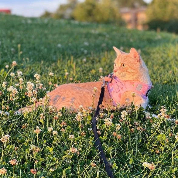 iDoggos - Harnais en tissu respirant pour chien ou chat (Peach)