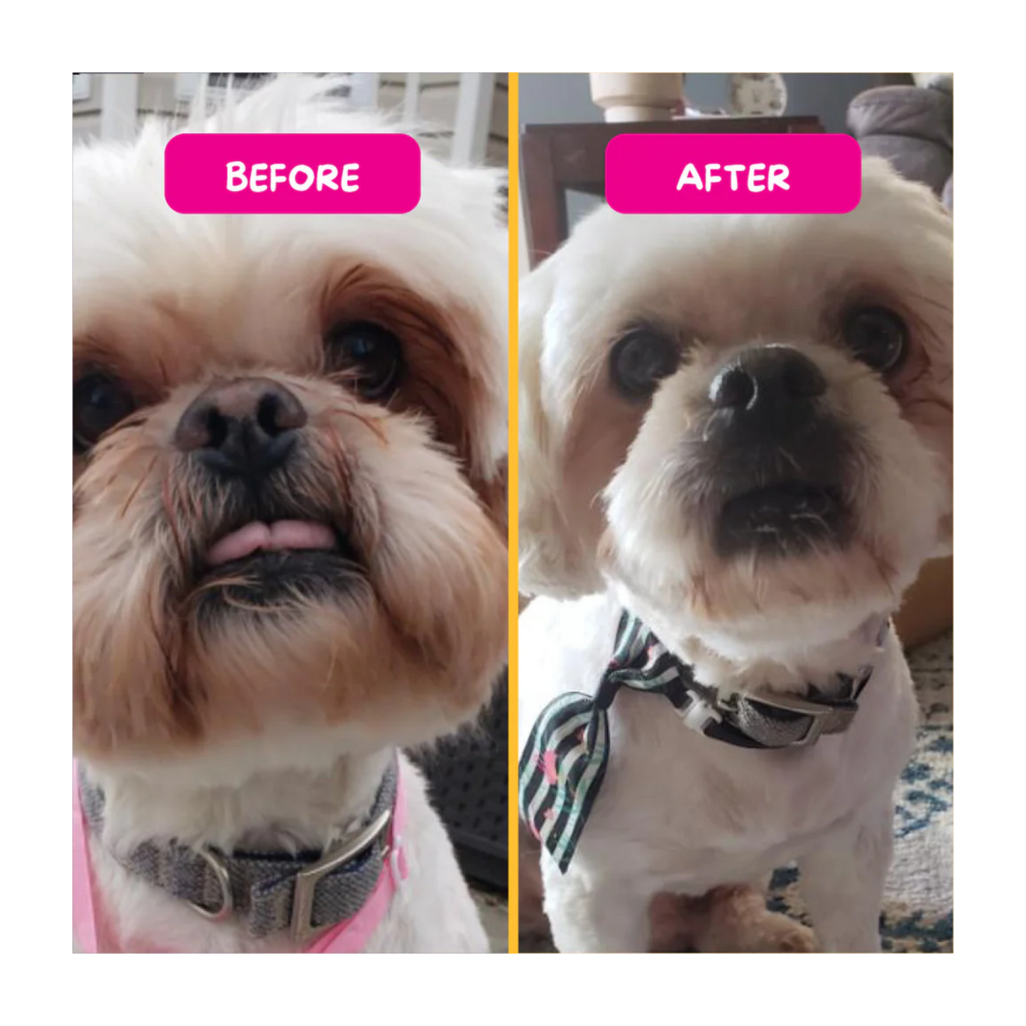 Pet Eyez – Gâteries pour chien anti-larmes (au poulet)