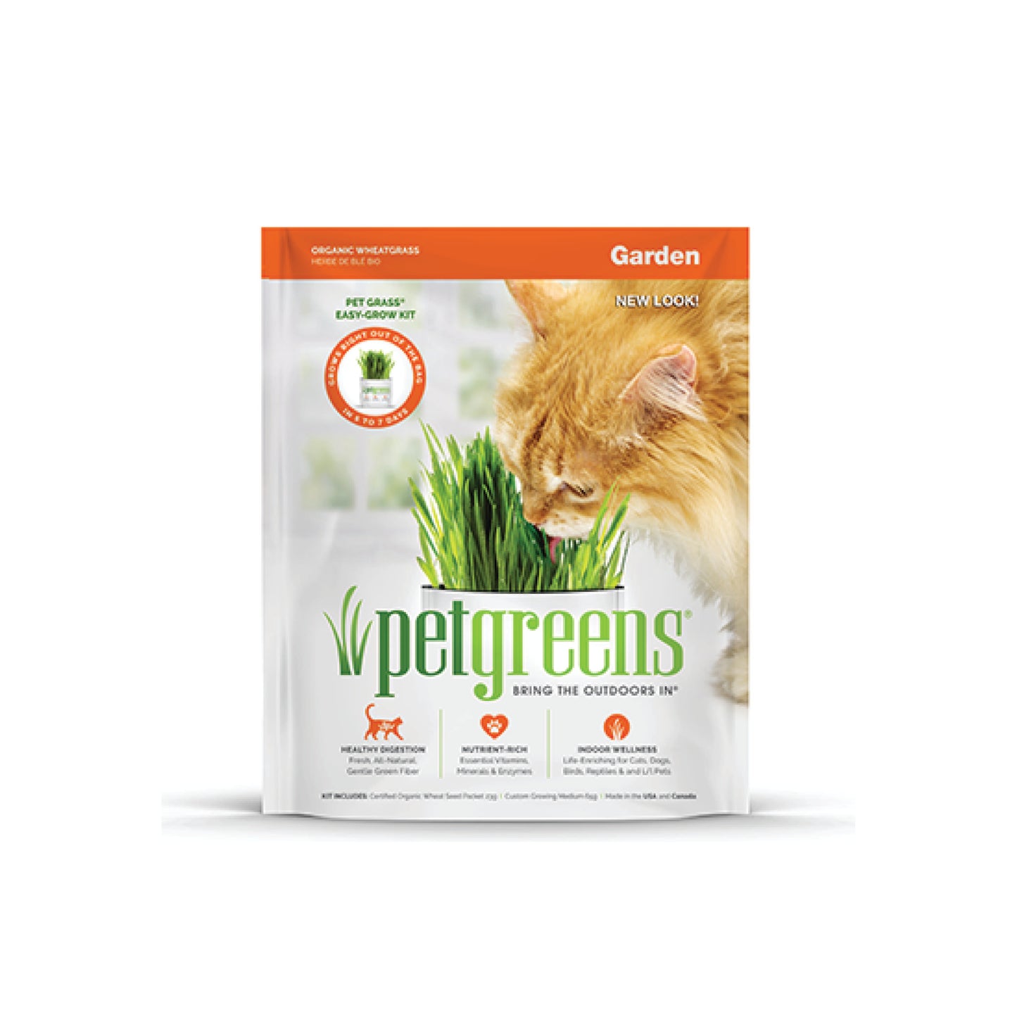 Pet Greens - Herbe à chat fraîche à cultiver