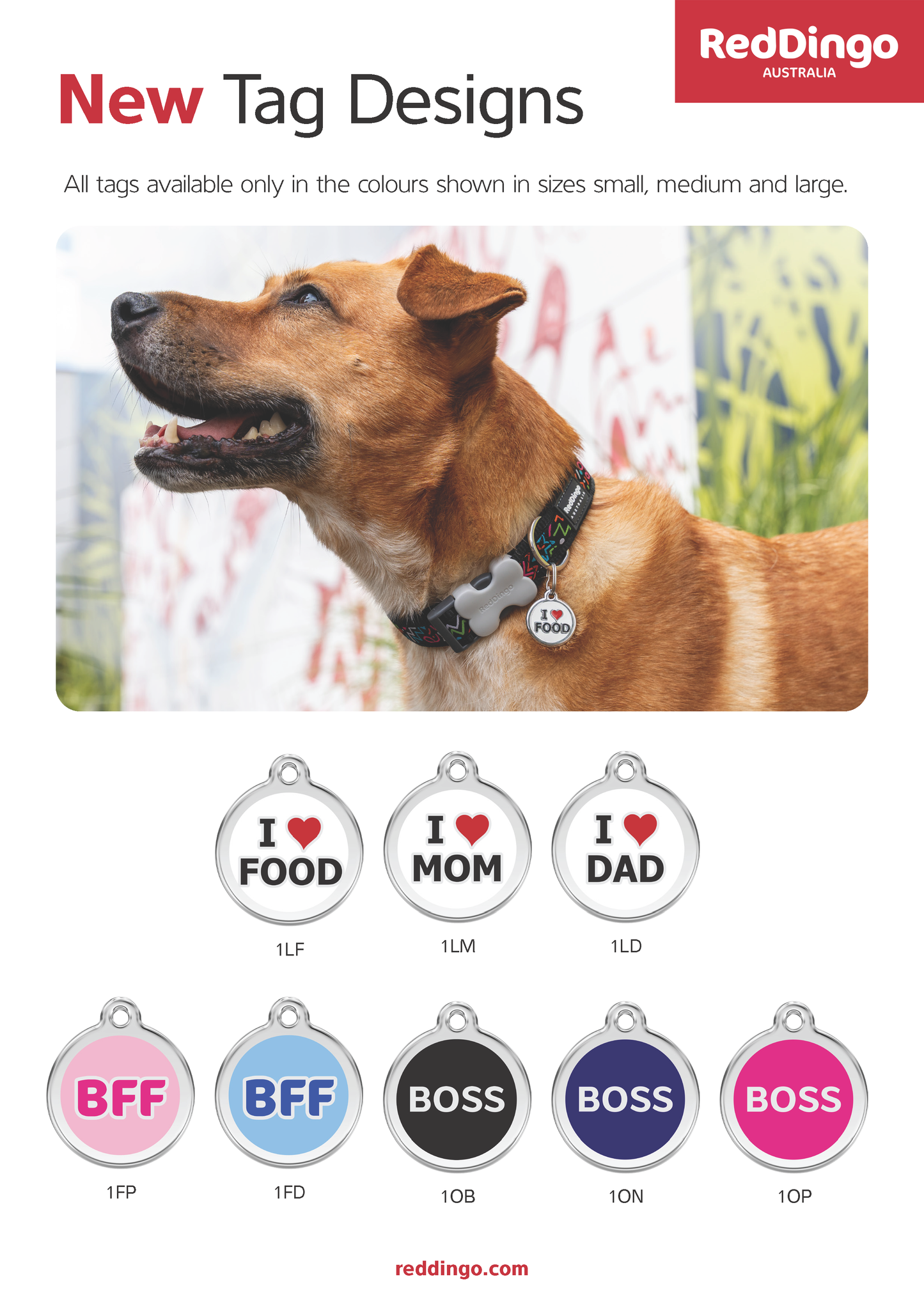 RedDingo - Médaille d'identification pour chien et chat en acier inoxydable (designs disponibles)