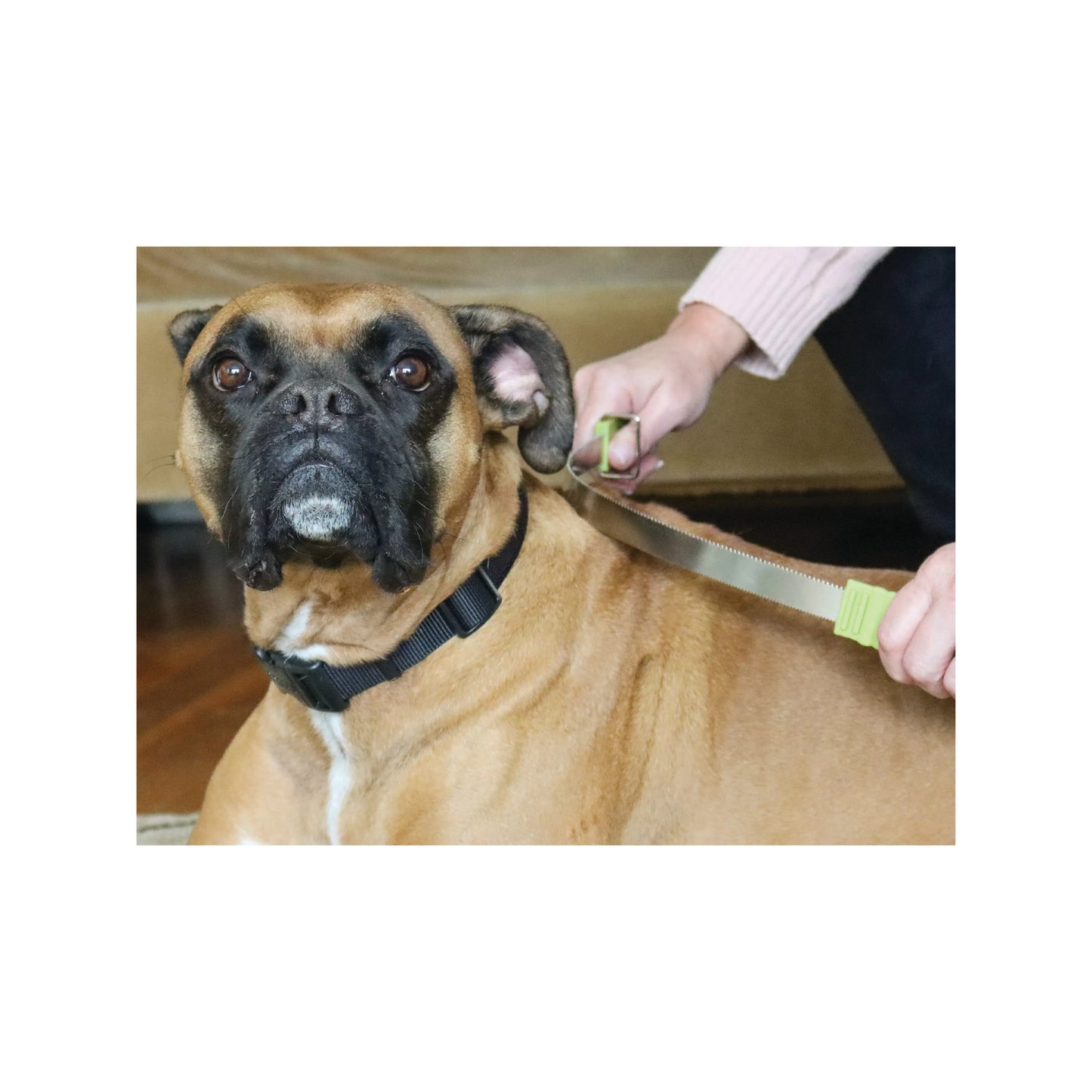 Safari - Dual-Sided Dog Shedding Blade