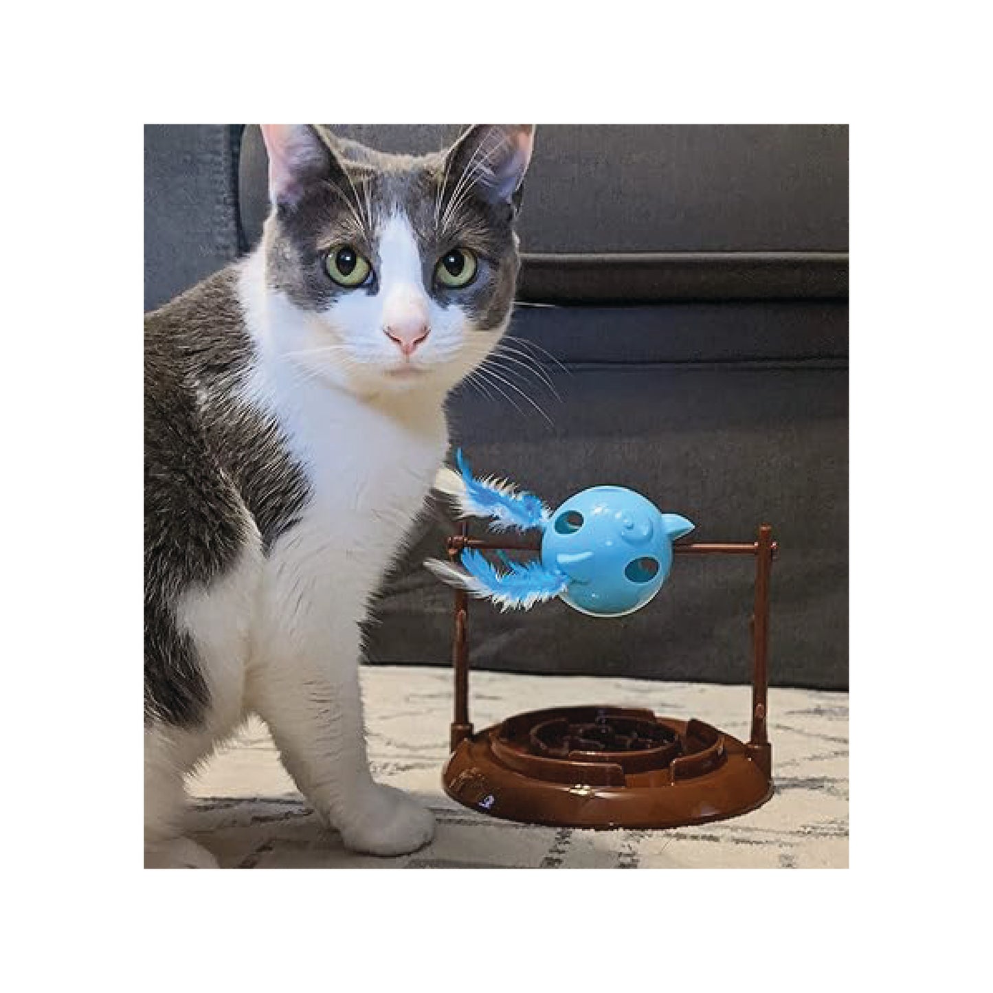 Spot - Distributeur interactif de nourriture et de friandises Twirly Bird pour chat