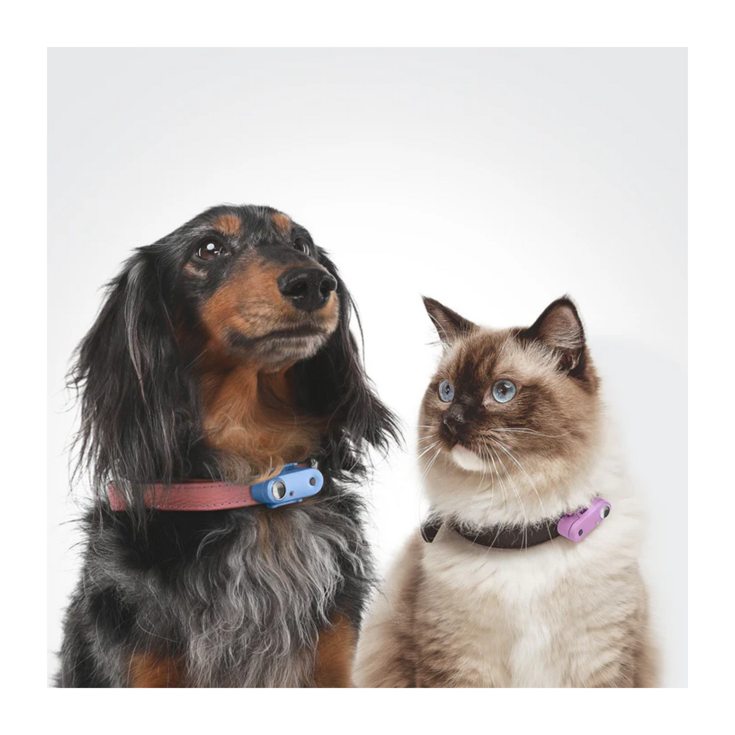 Tickless - Rechargeable Chemical-Free, Ultrasonic Tick and Flea Repeller (Colors Available)