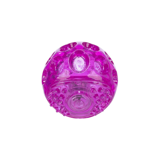 Trixie - Flashing Luminous Dog Ball with Switch