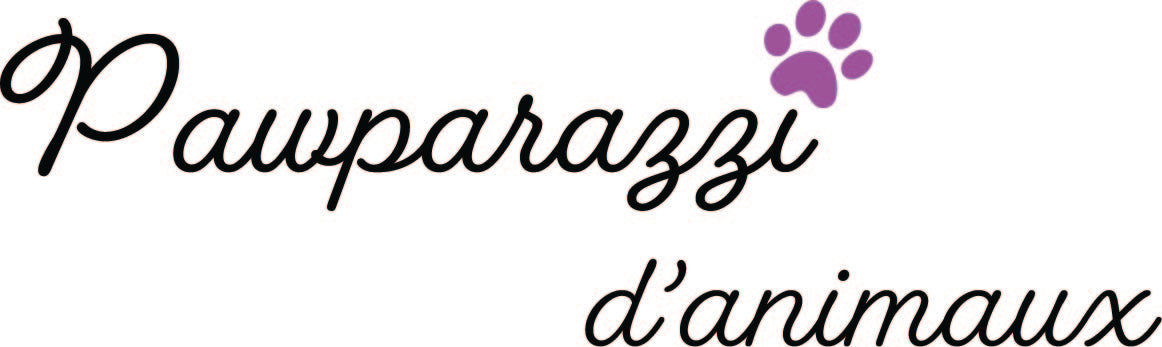 Pawparazzi d'animaux