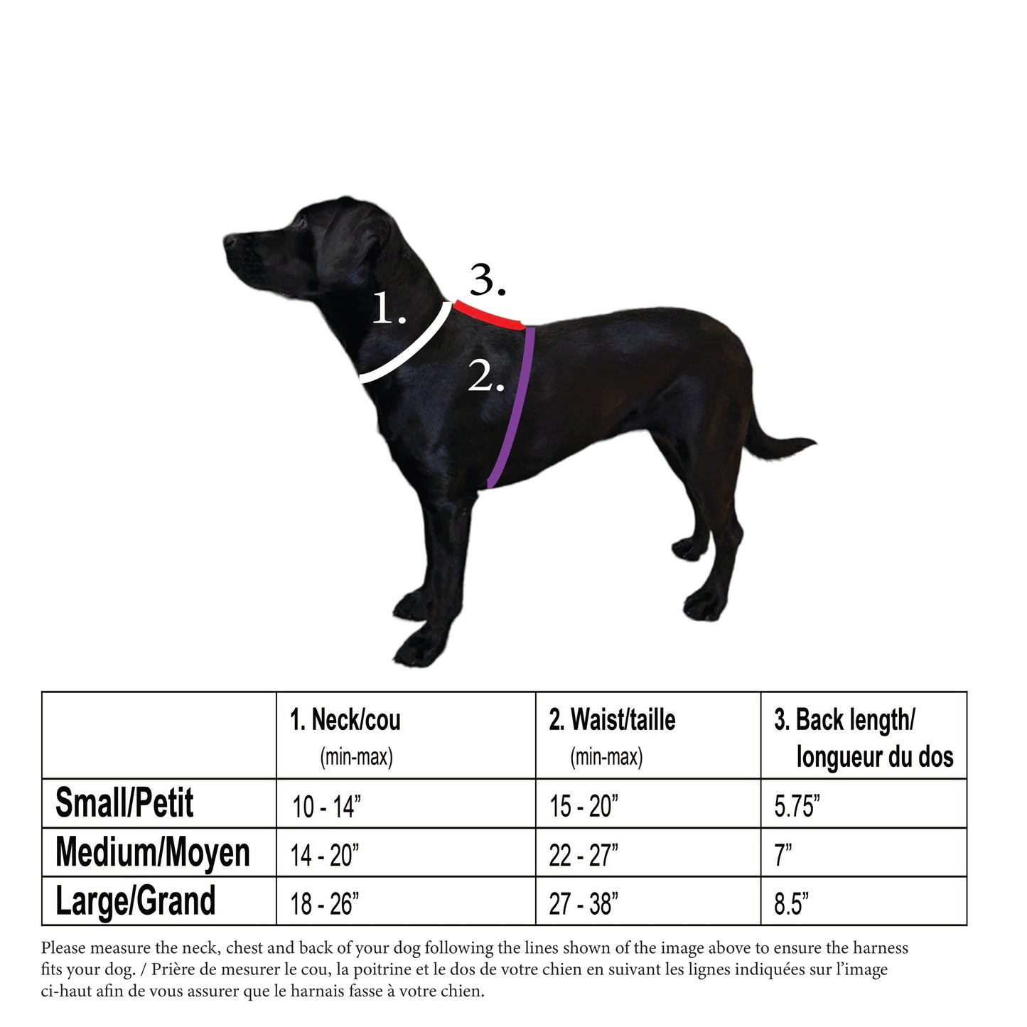 Alcott - Adventure Harness