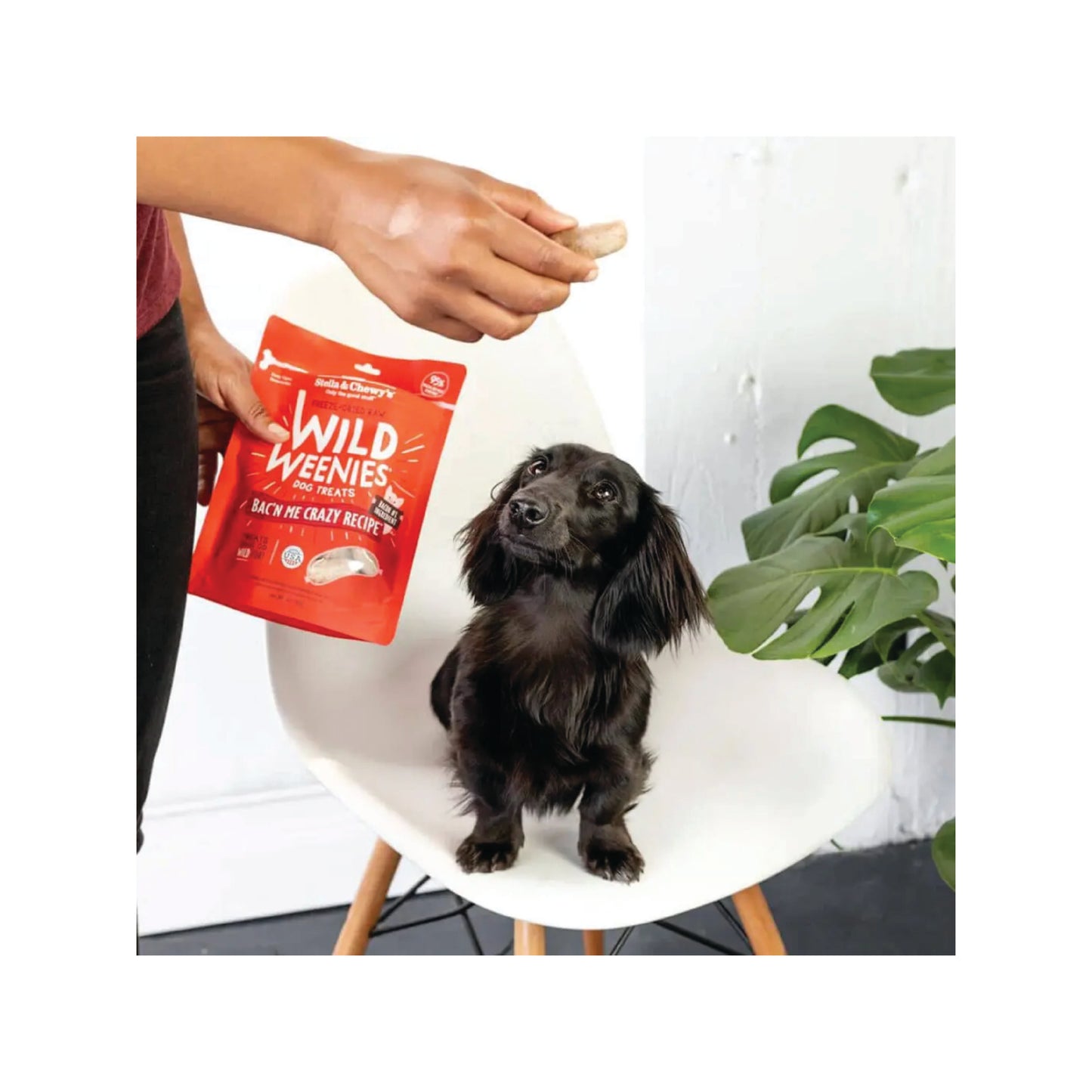 Stella & Chewy's - Friandises lyophilisées Bac'n Me Crazy Wild Weenies
