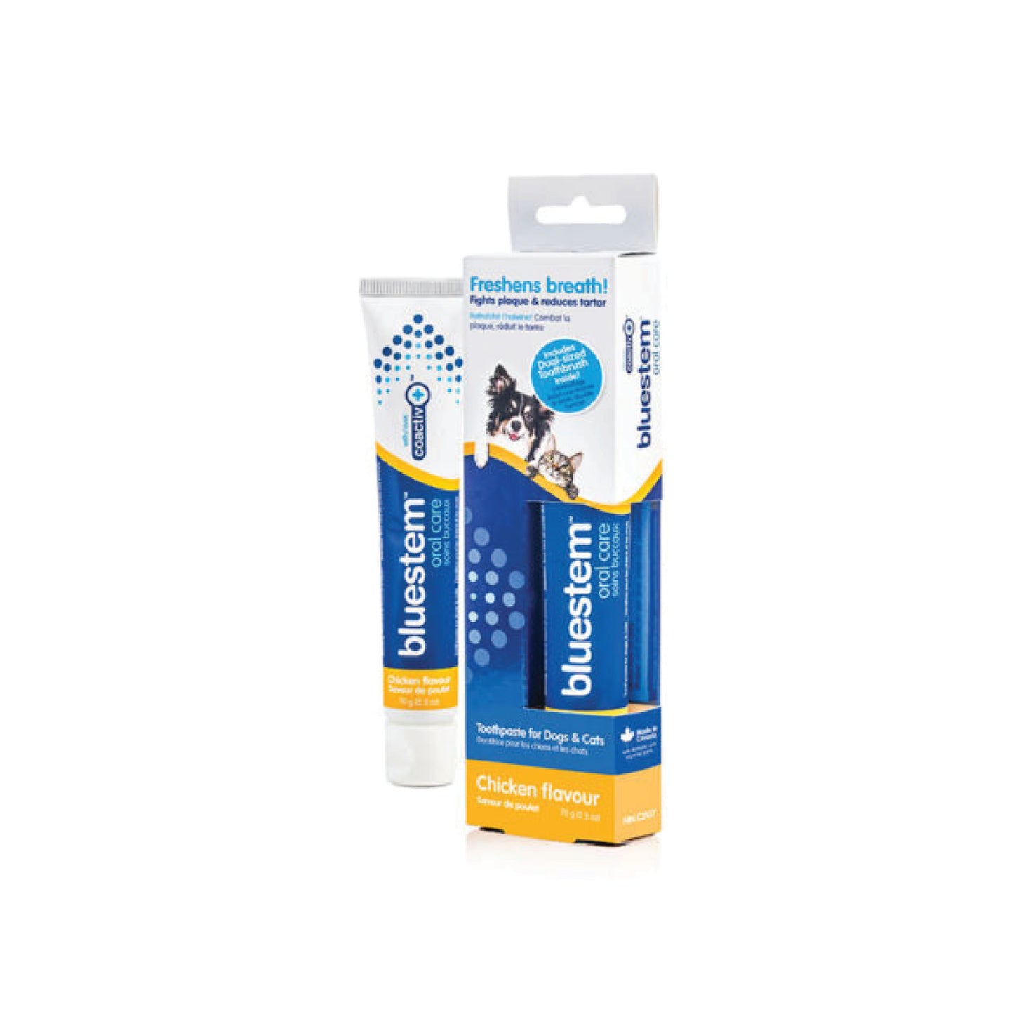 Bluestem - Dentifrice et kit de soins dentaires pour chien et chat (au poulet)