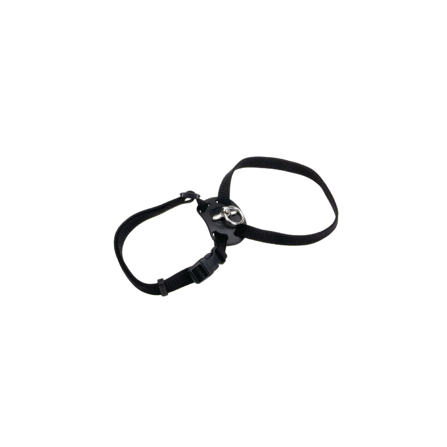 Coastal - Harnais réglable pour chat