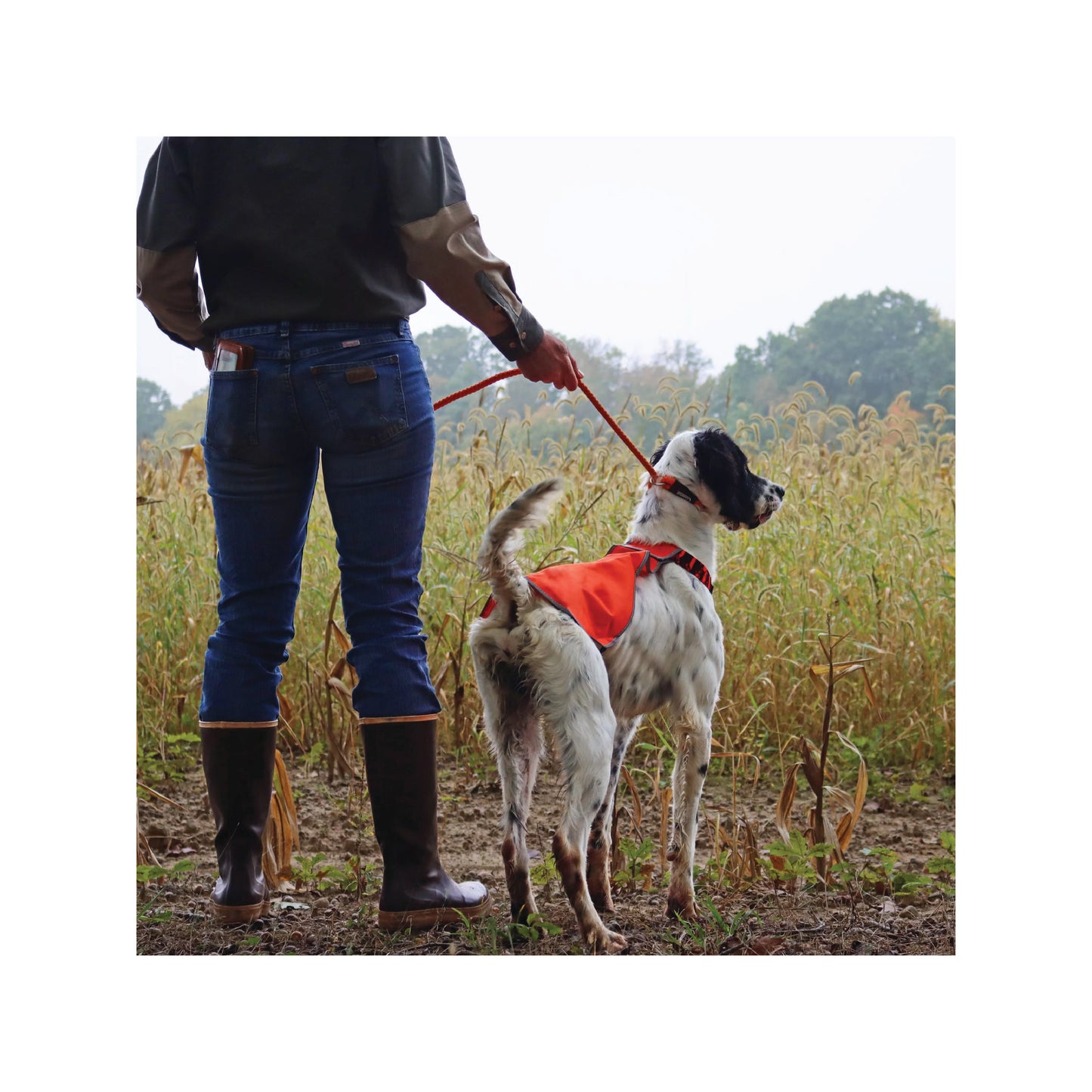 Coastal - Slip Lead Rope Leash (Green & White)