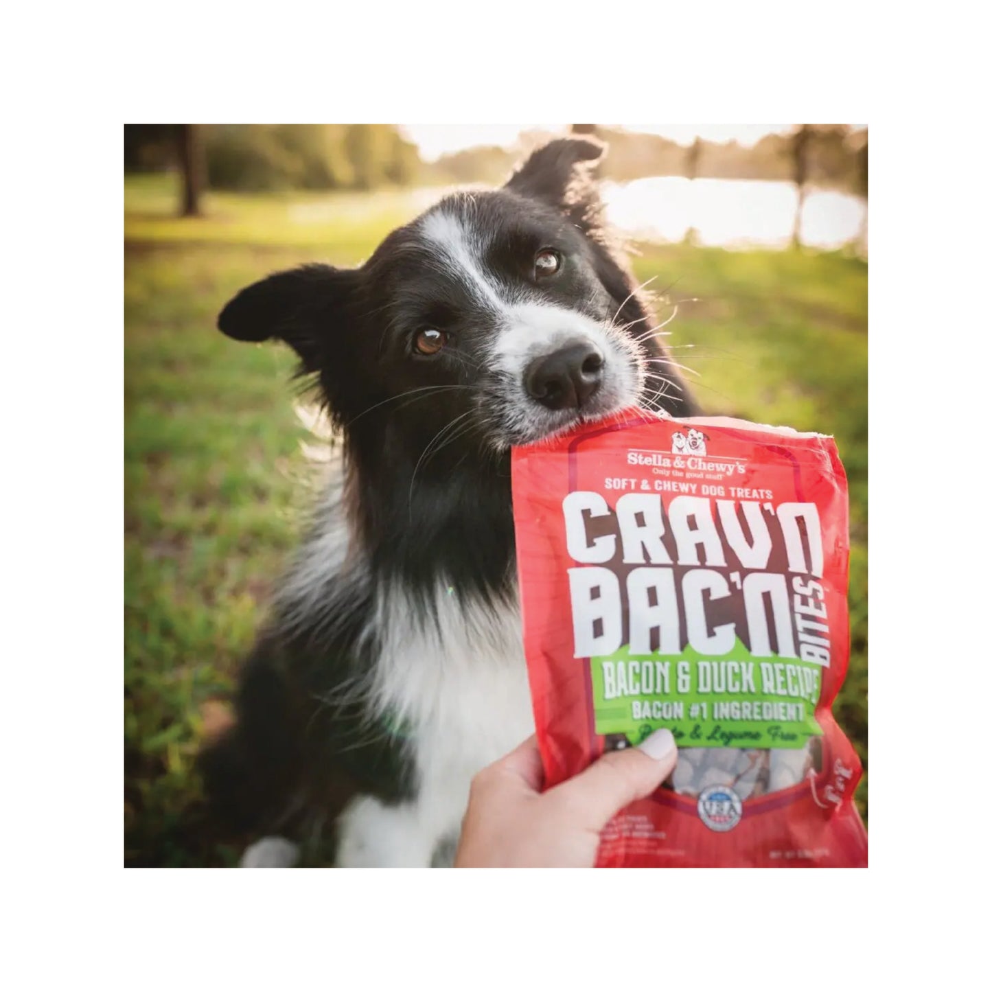 Stella & Chewy's - Gâteries pour chien Crav'n Bac'n Bites™ au bacon et au canard