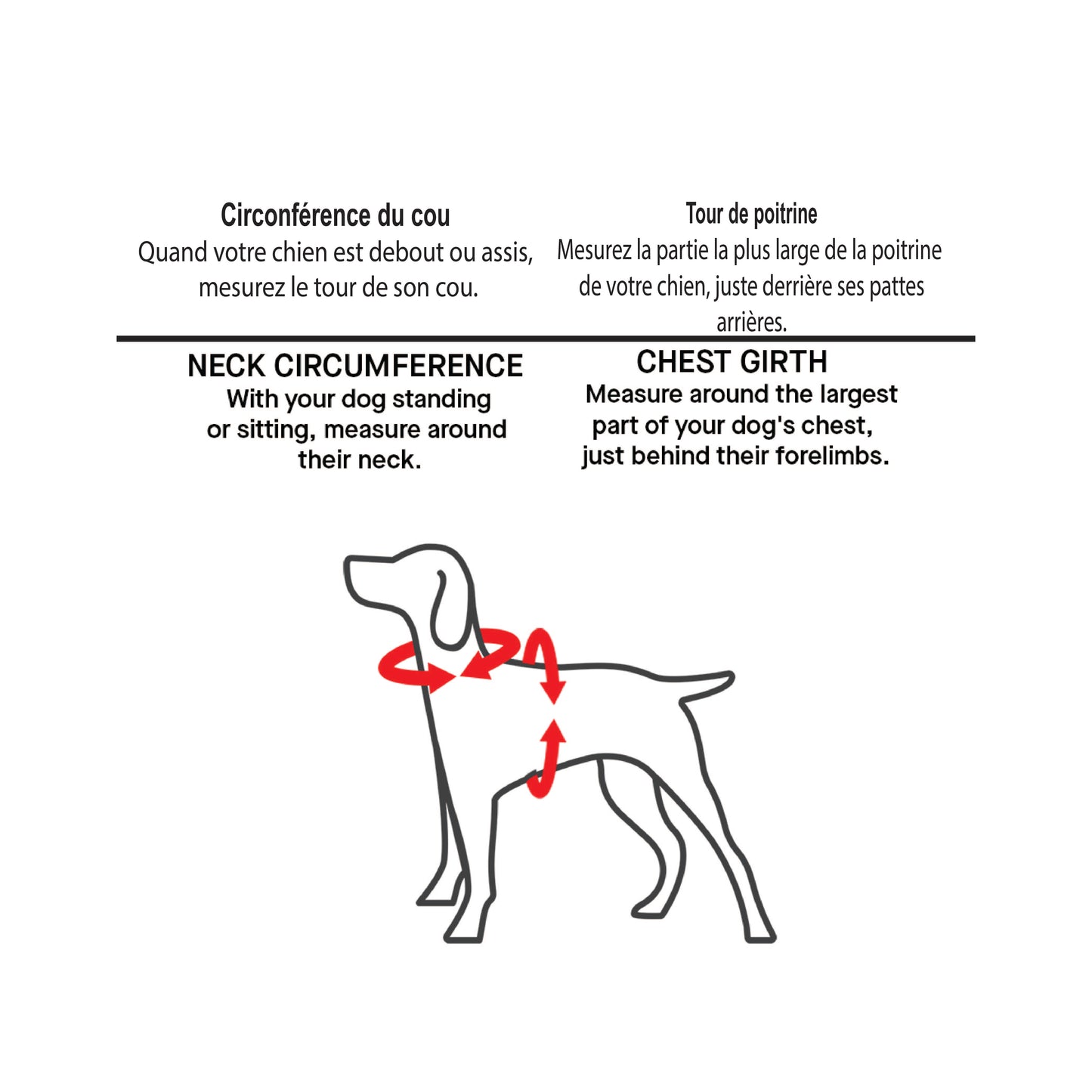 Canada Pooch - Harnais passe-partout (couleurs disponibles)